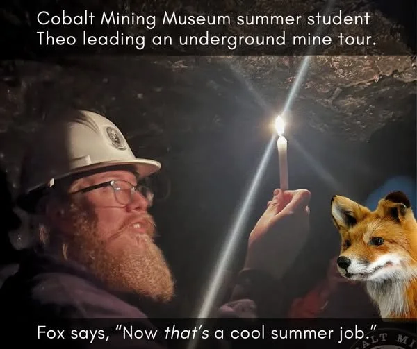 The Museum is Hiring!