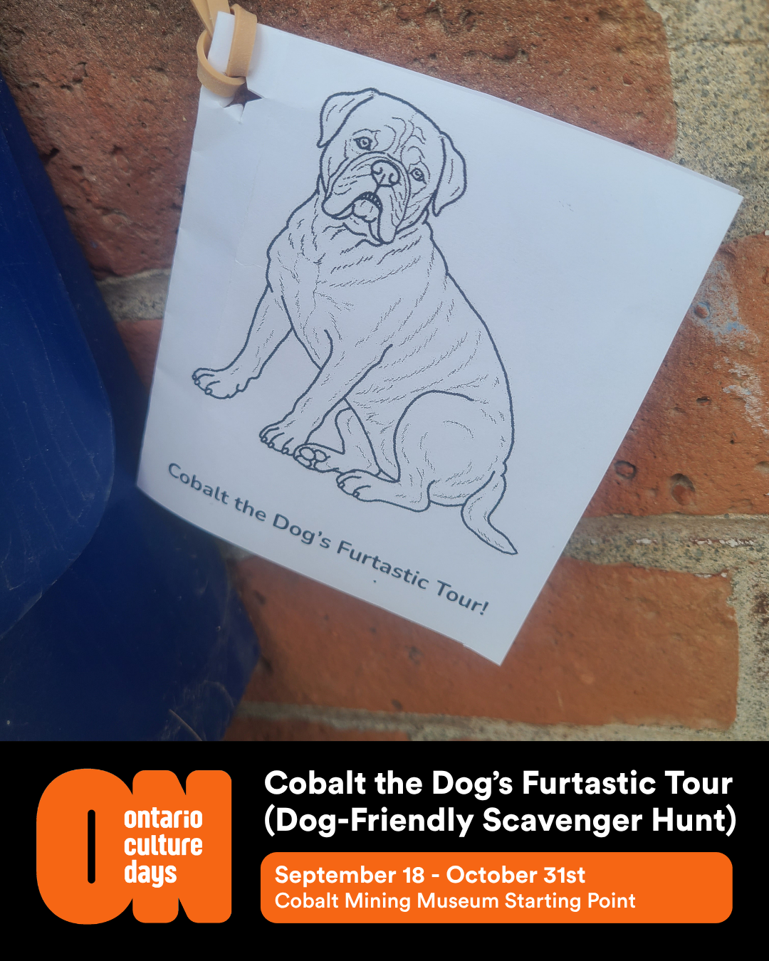 Cobalt the Dog's Furtastic Tour (Dog-Friendly Scavenger Hunt)