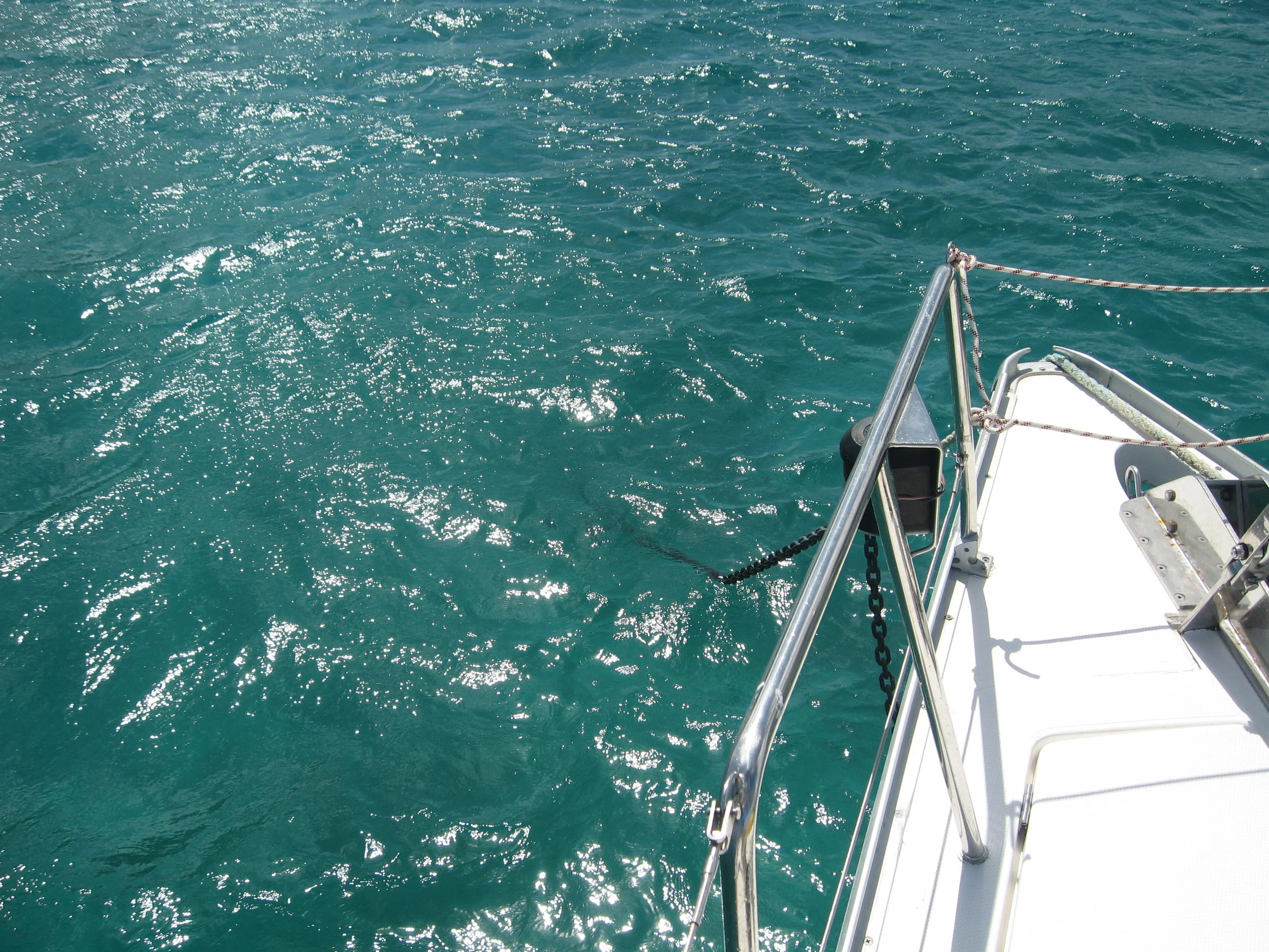 IMG_0237.JPG