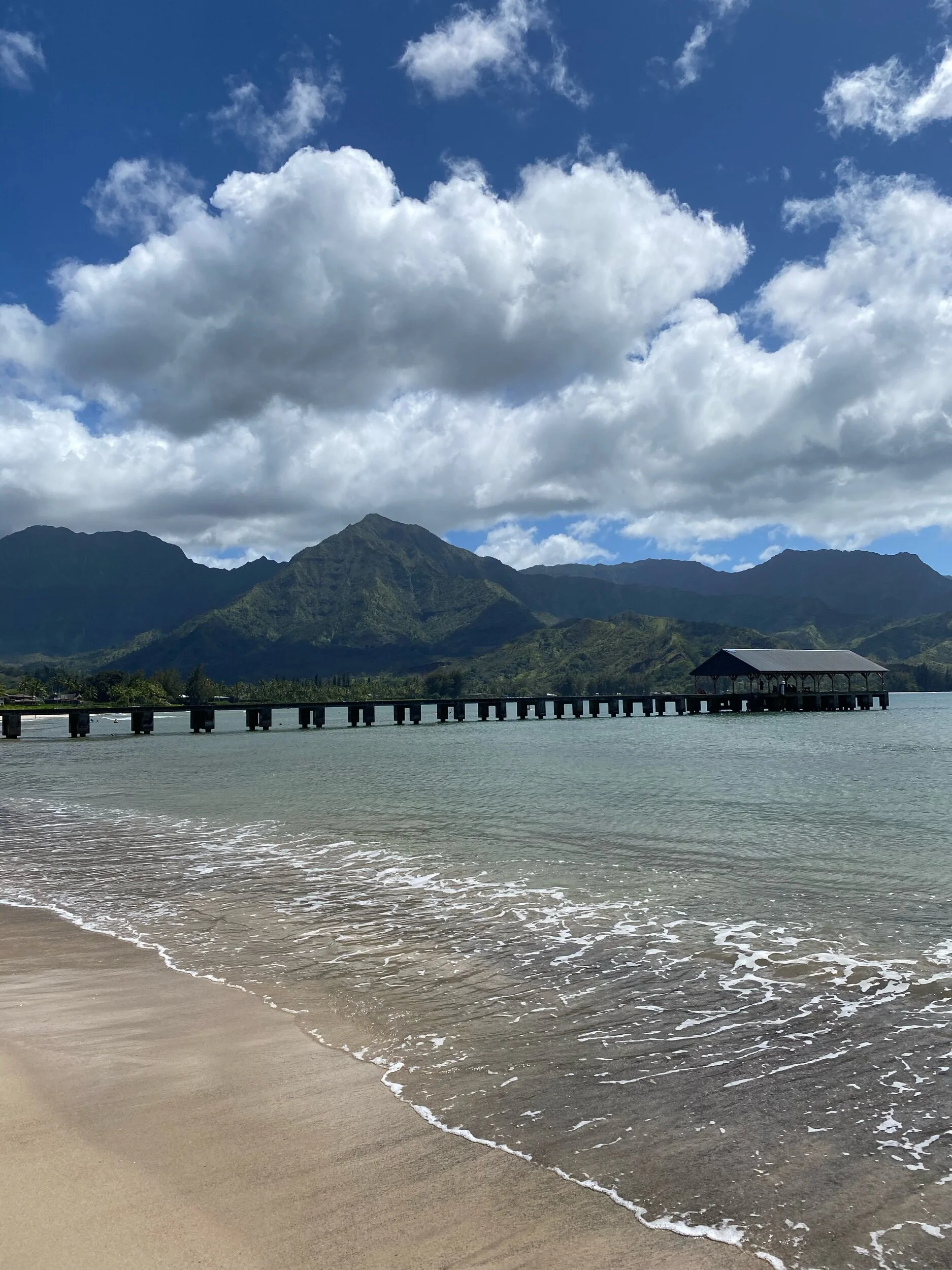 Kauai Shannon Whittington