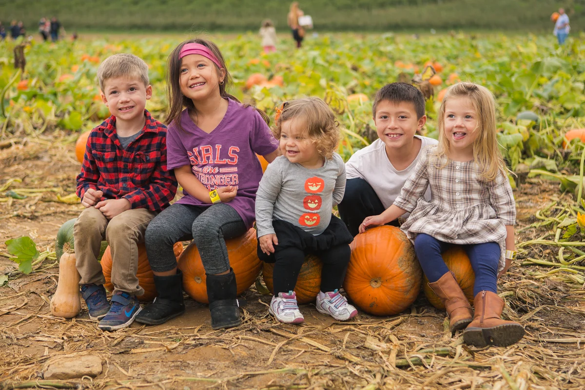 Alstede Farms Fall 2016-17.jpg