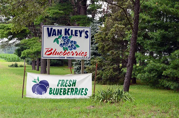 van-kleys-fresh-blueberries.jpg