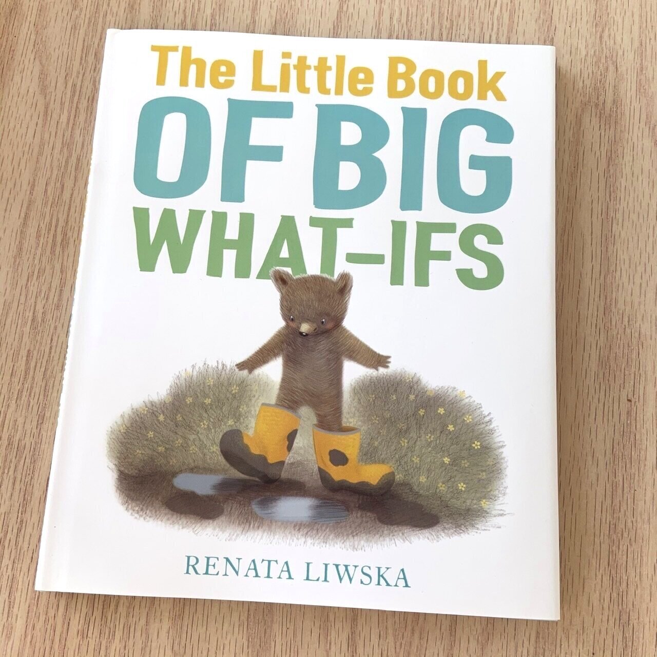 The Little Book of Big What If's by Renata Liwska