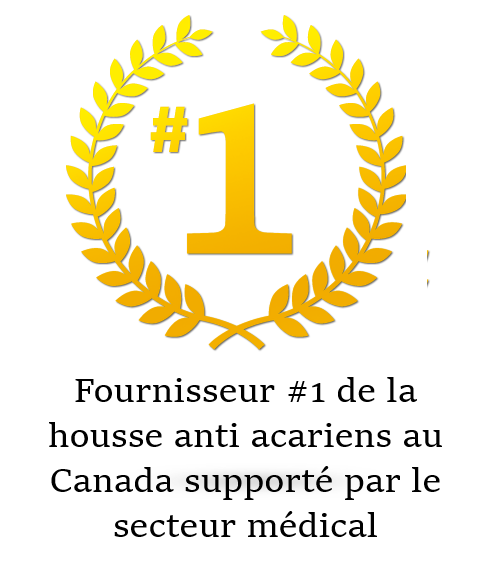 #1.png