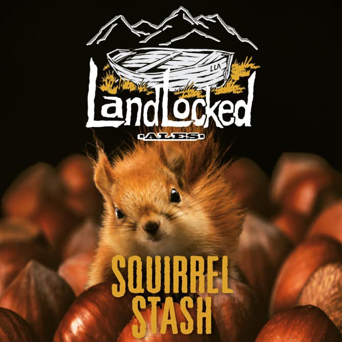 squirrel.jpg
