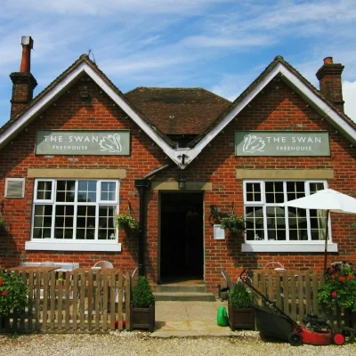 the swan wilton