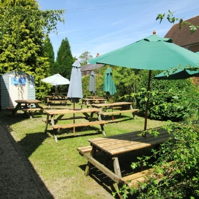 The Swan