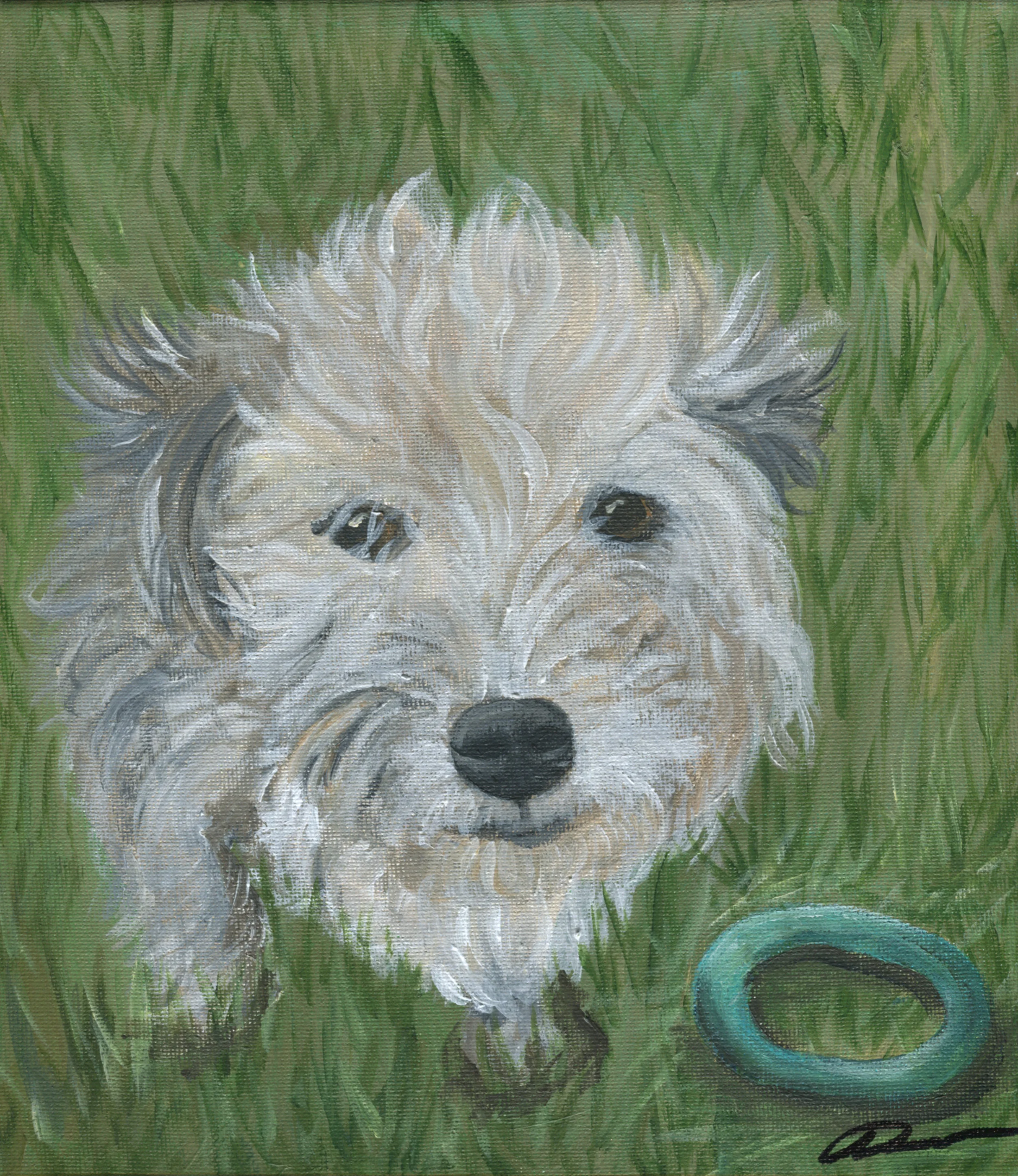 DM_DogPortrait3_WEB.jpg
