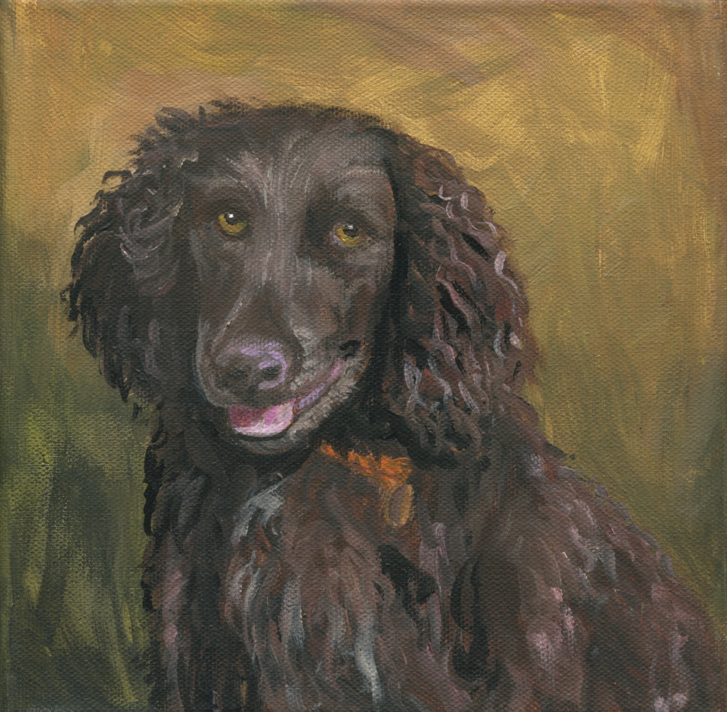 DM_DogPortrait16_WEB.jpg