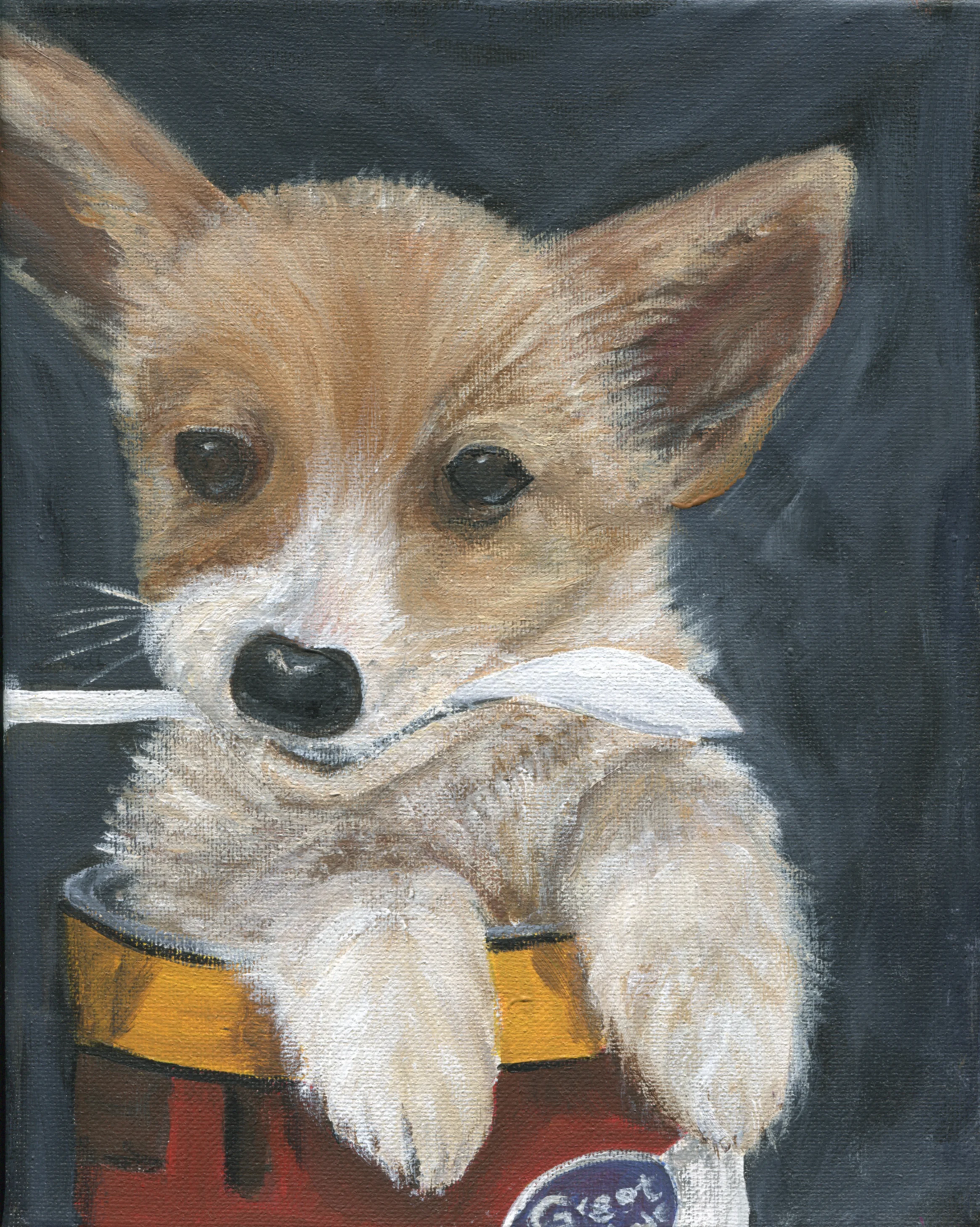 DM_DogPortrait19_WEB.jpg