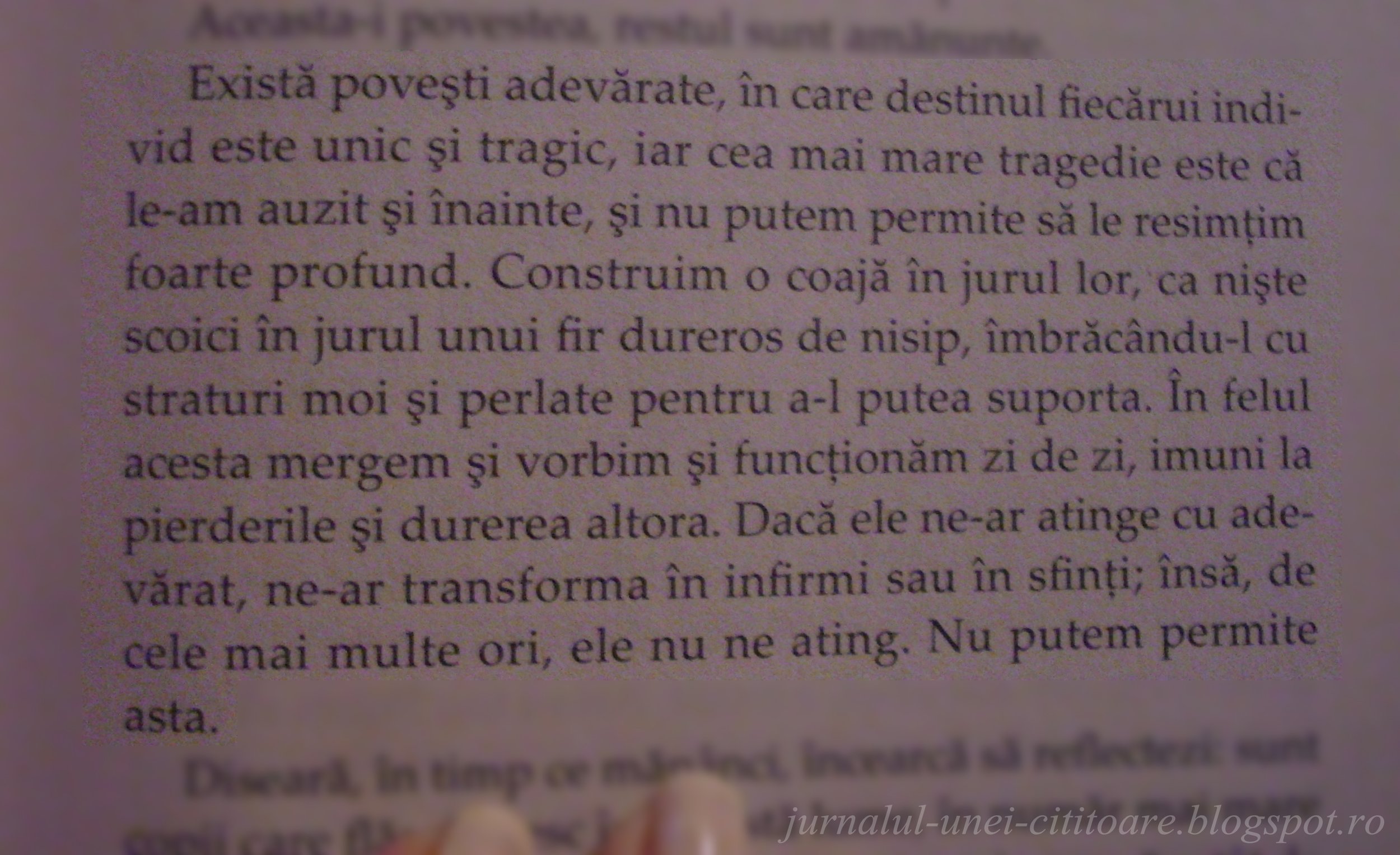 © Zei Americani de Neil Gaiman - Editura Paladin