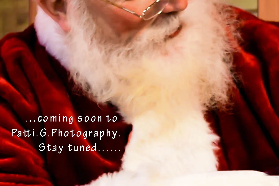 santa add.jpg