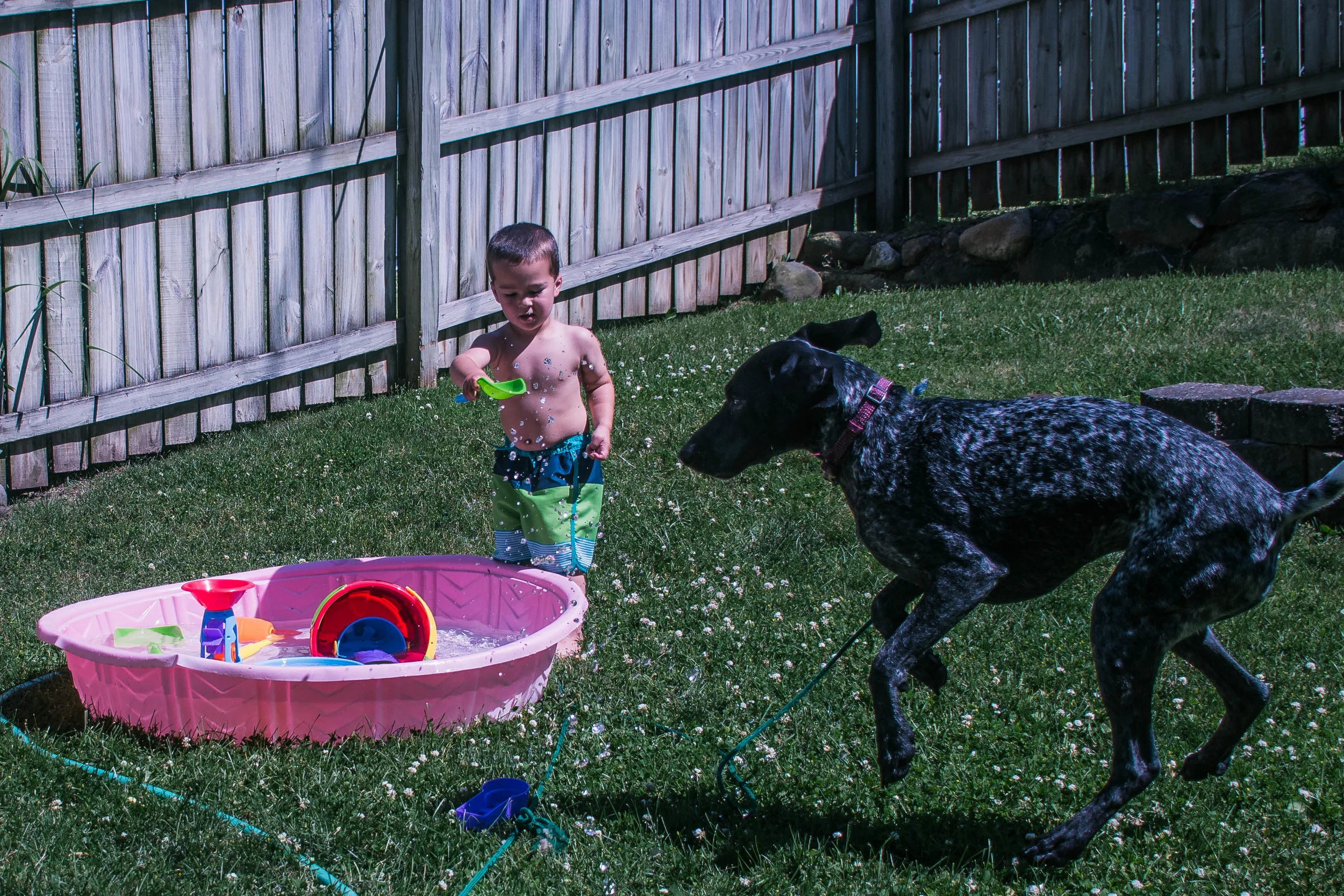 These 2 are really the best of friends.