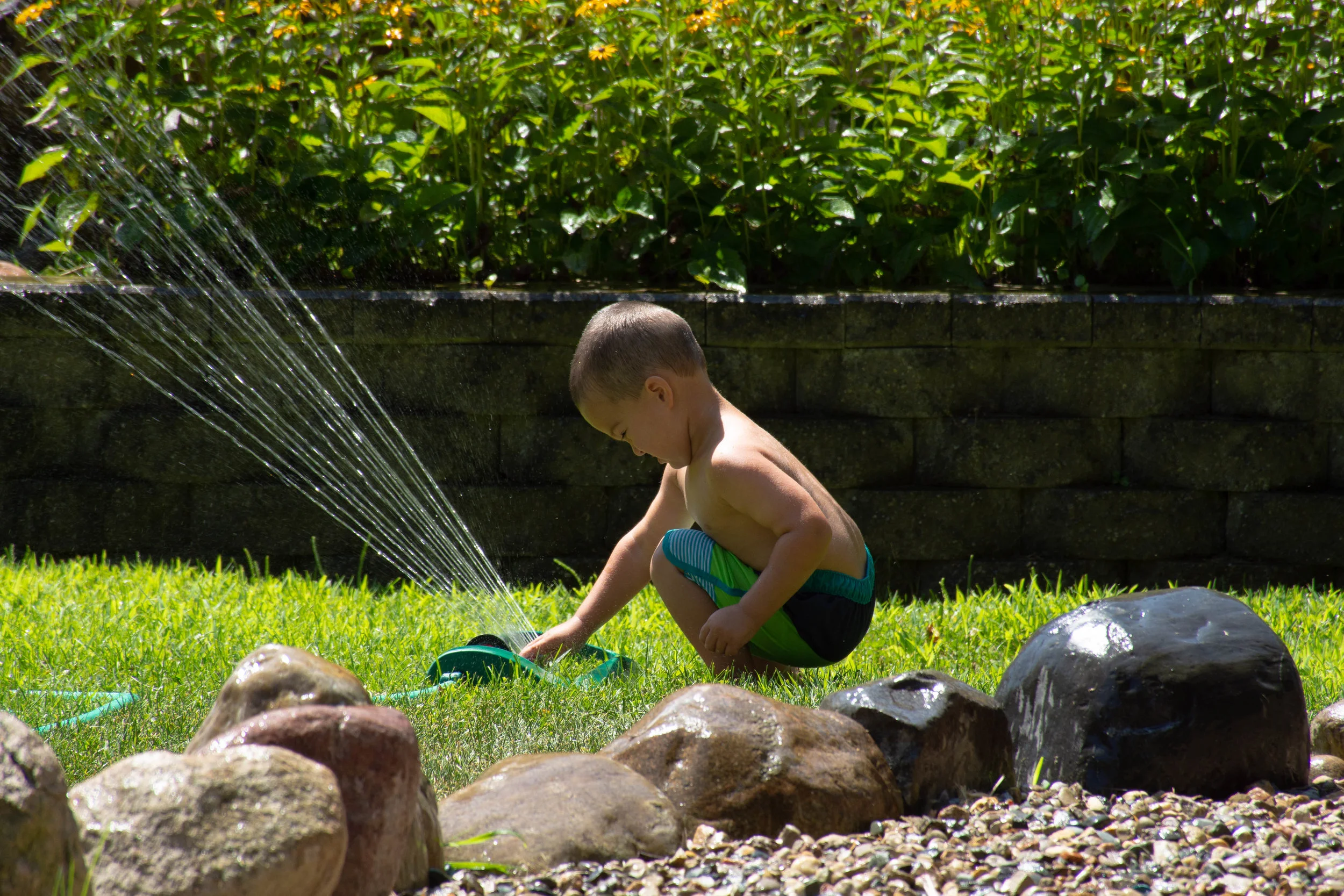 Backyard fun 2.jpg