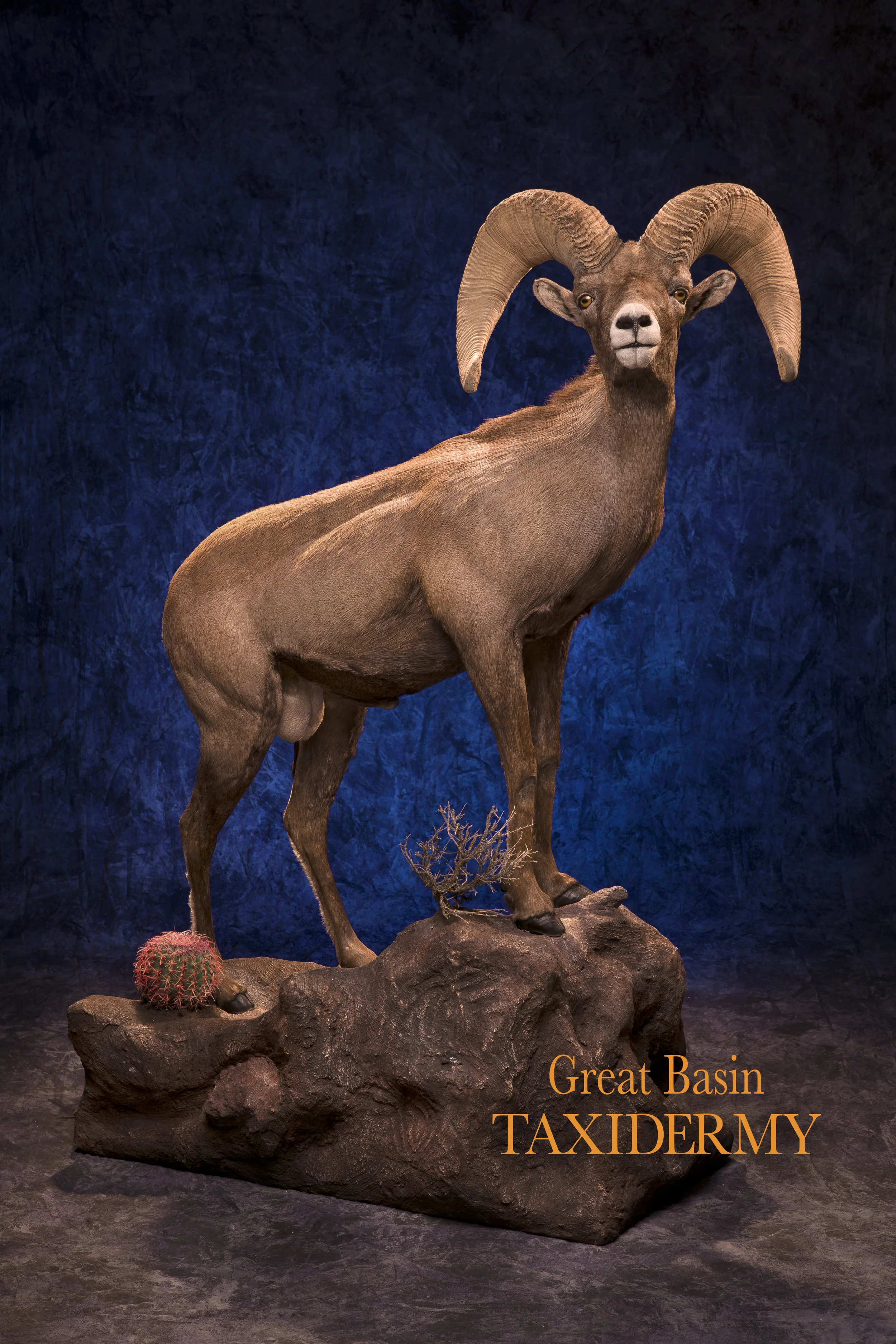 K Falls-Ram W Text_RGB.jpg