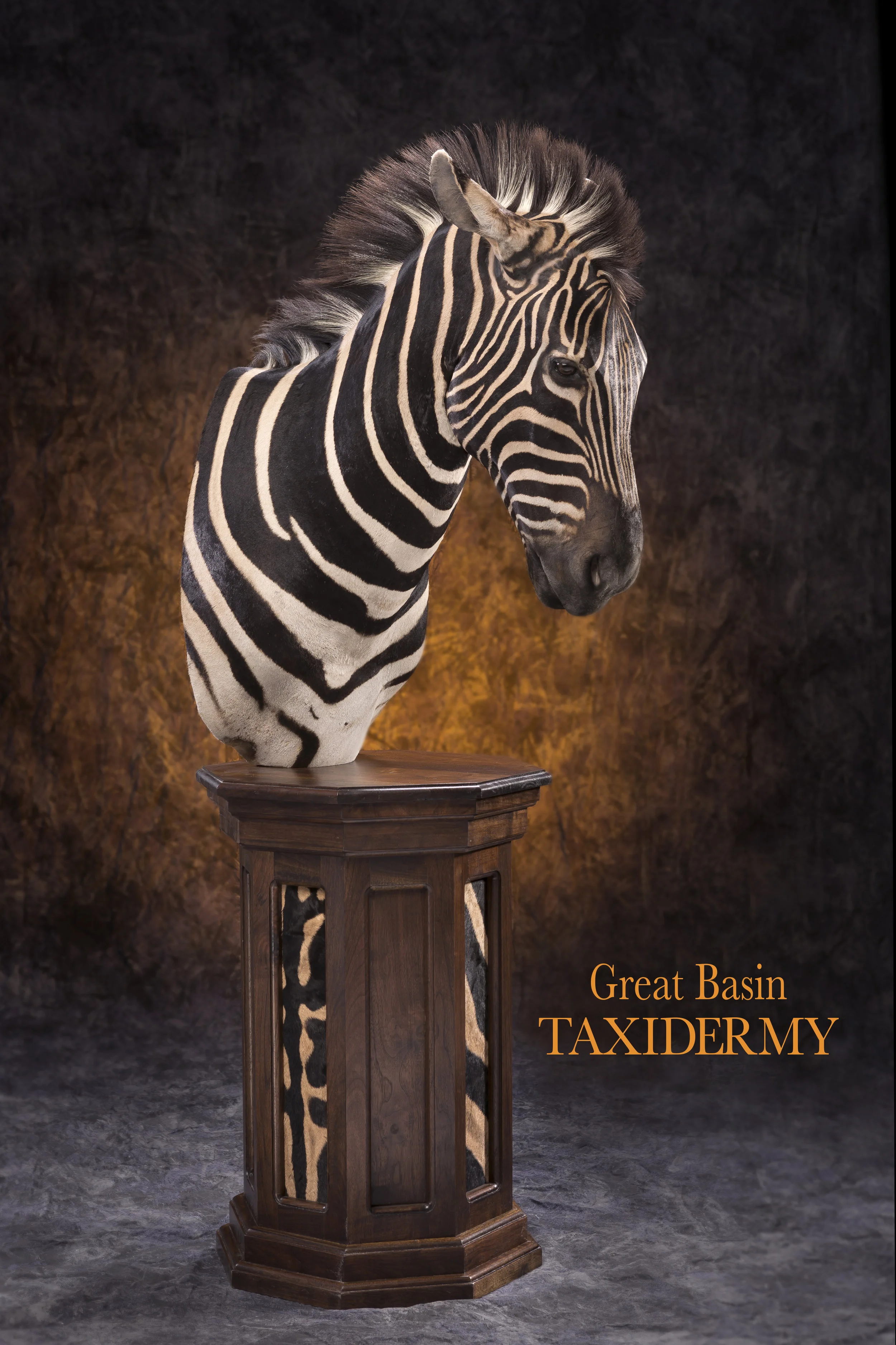 Zebra W Text_RGB.jpg