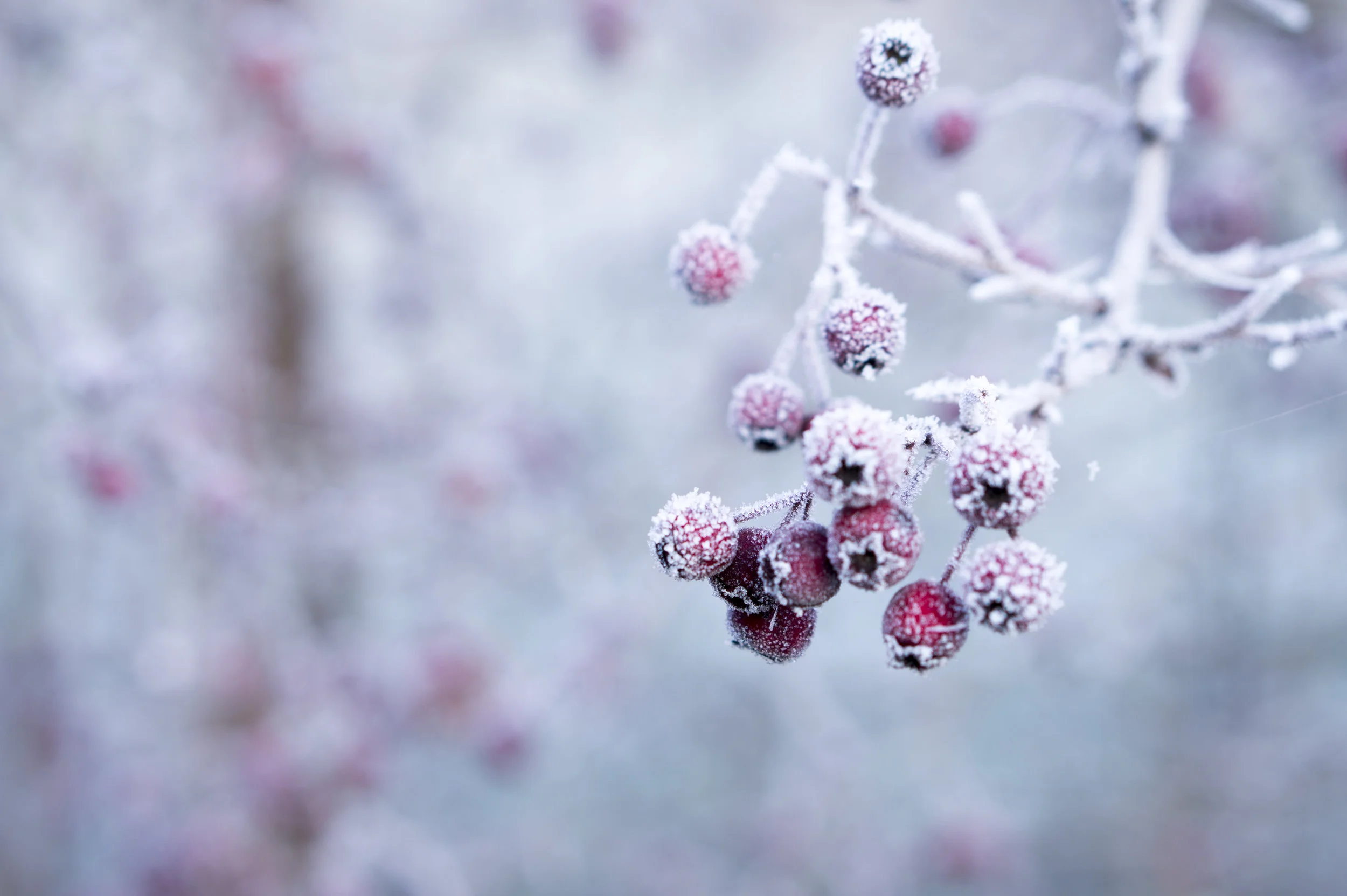 bc9b7394-a2a0-4139-9f60-3774d0033b3d.jpg