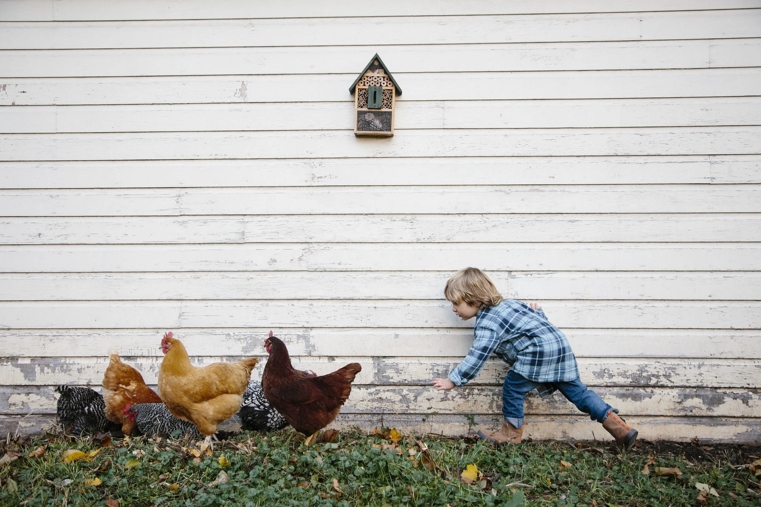 PortraitswithPetsCL0003.jpg