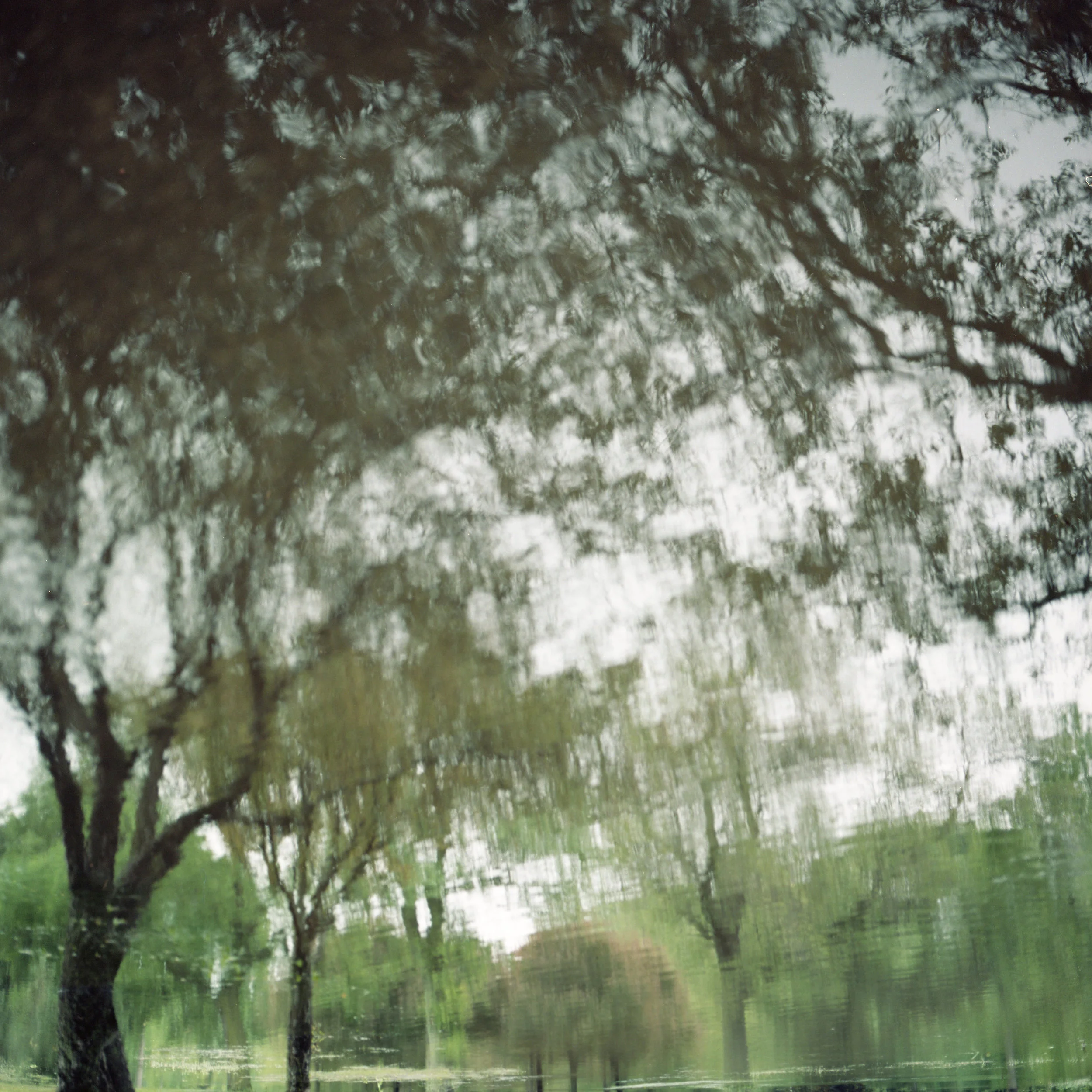 scan078web.jpg