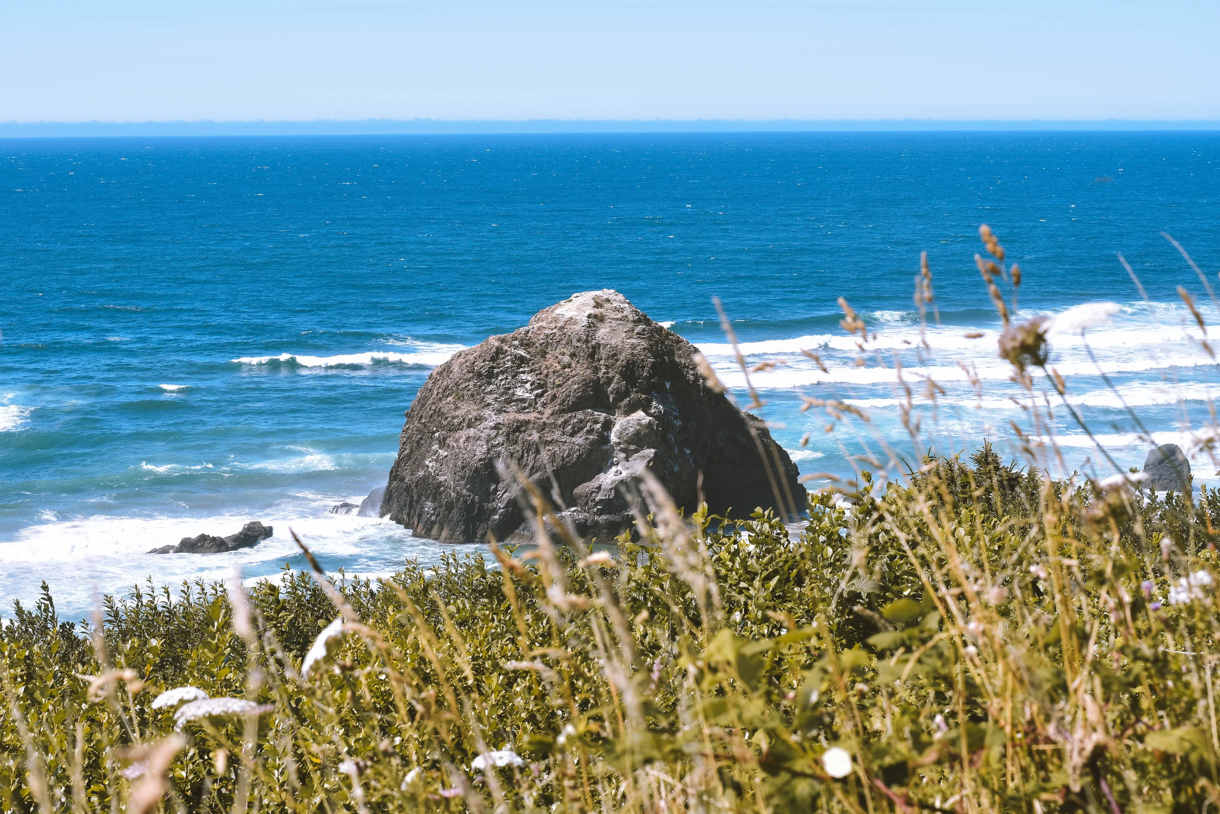 DSC_0723.jpg