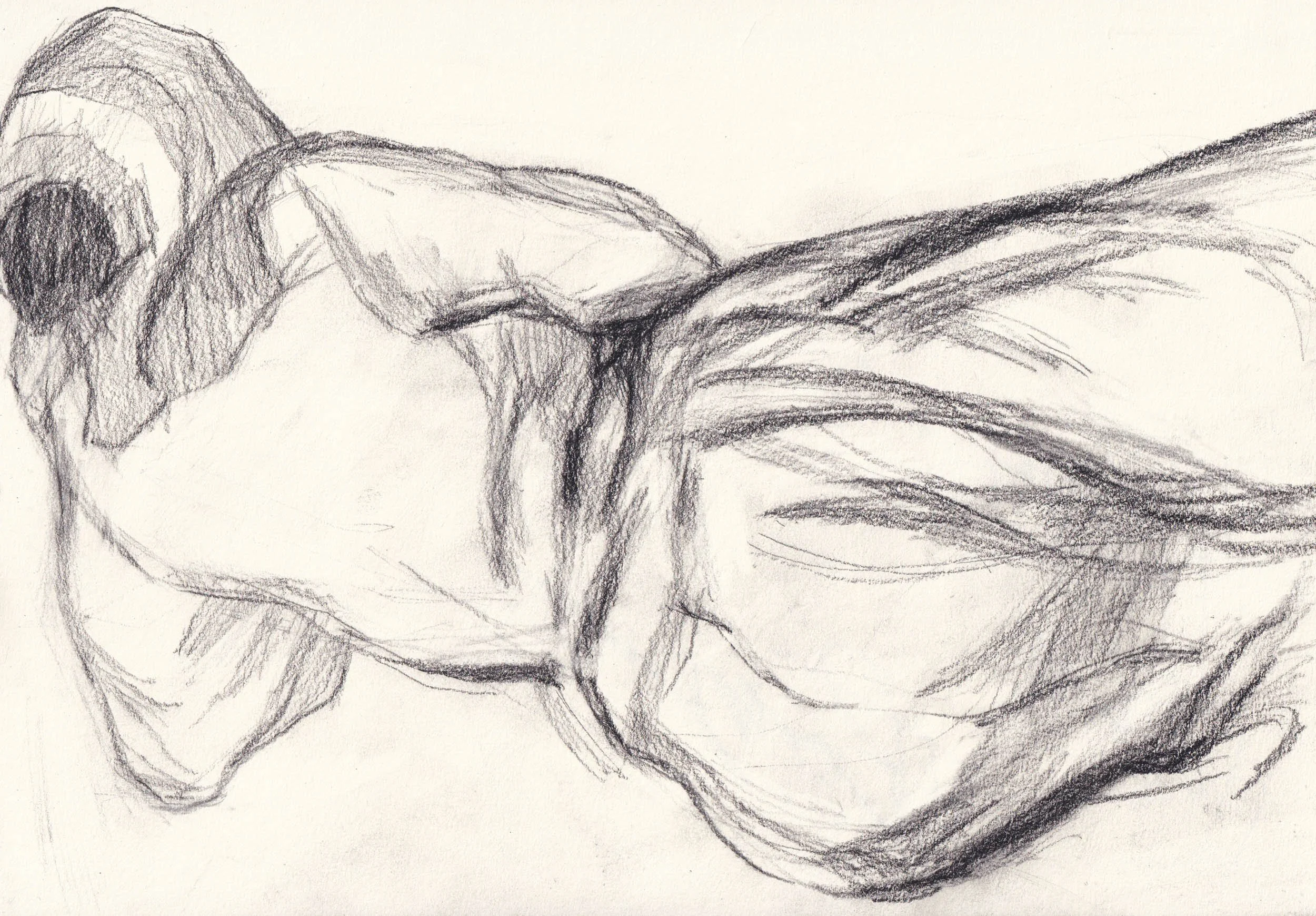 Charcoal pencil, 12" x 9"