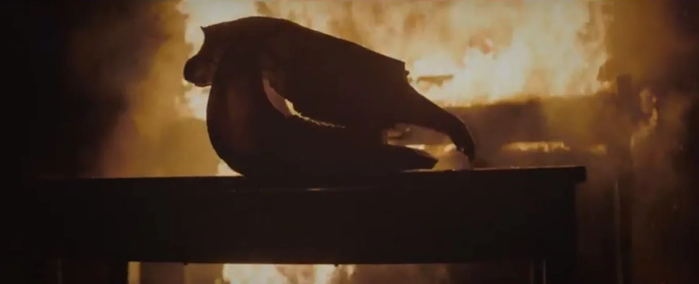 "Don't Wait For Me Marie" Music Video