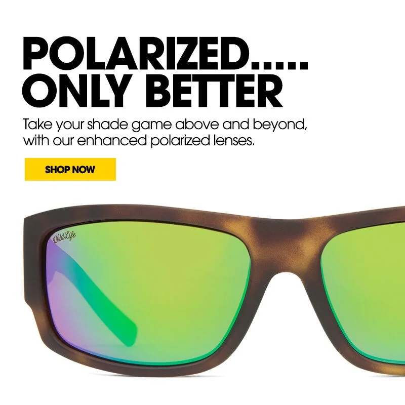 VZ Polarized.jpeg