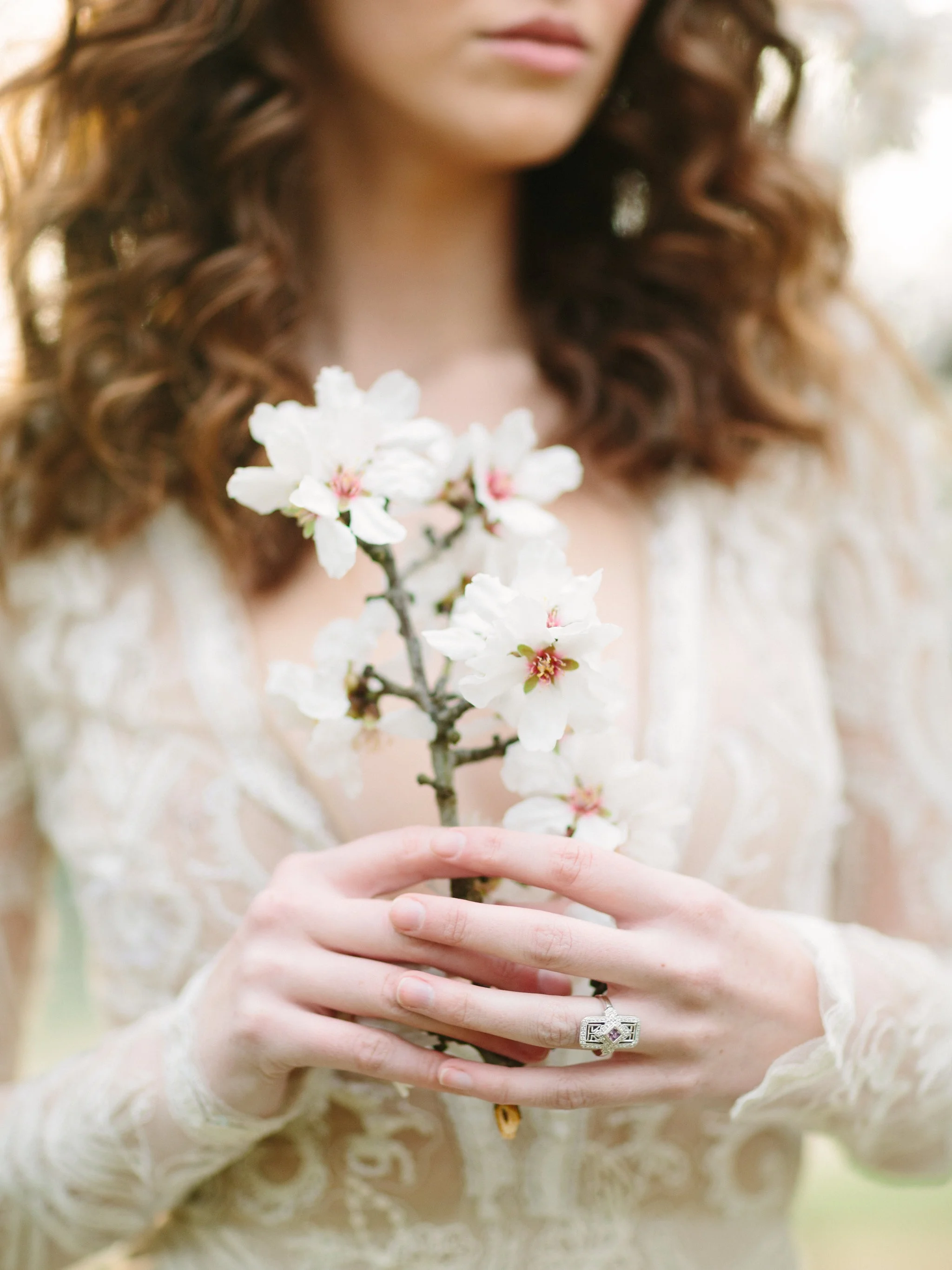 LCphoto-orchard-finals-053.jpg