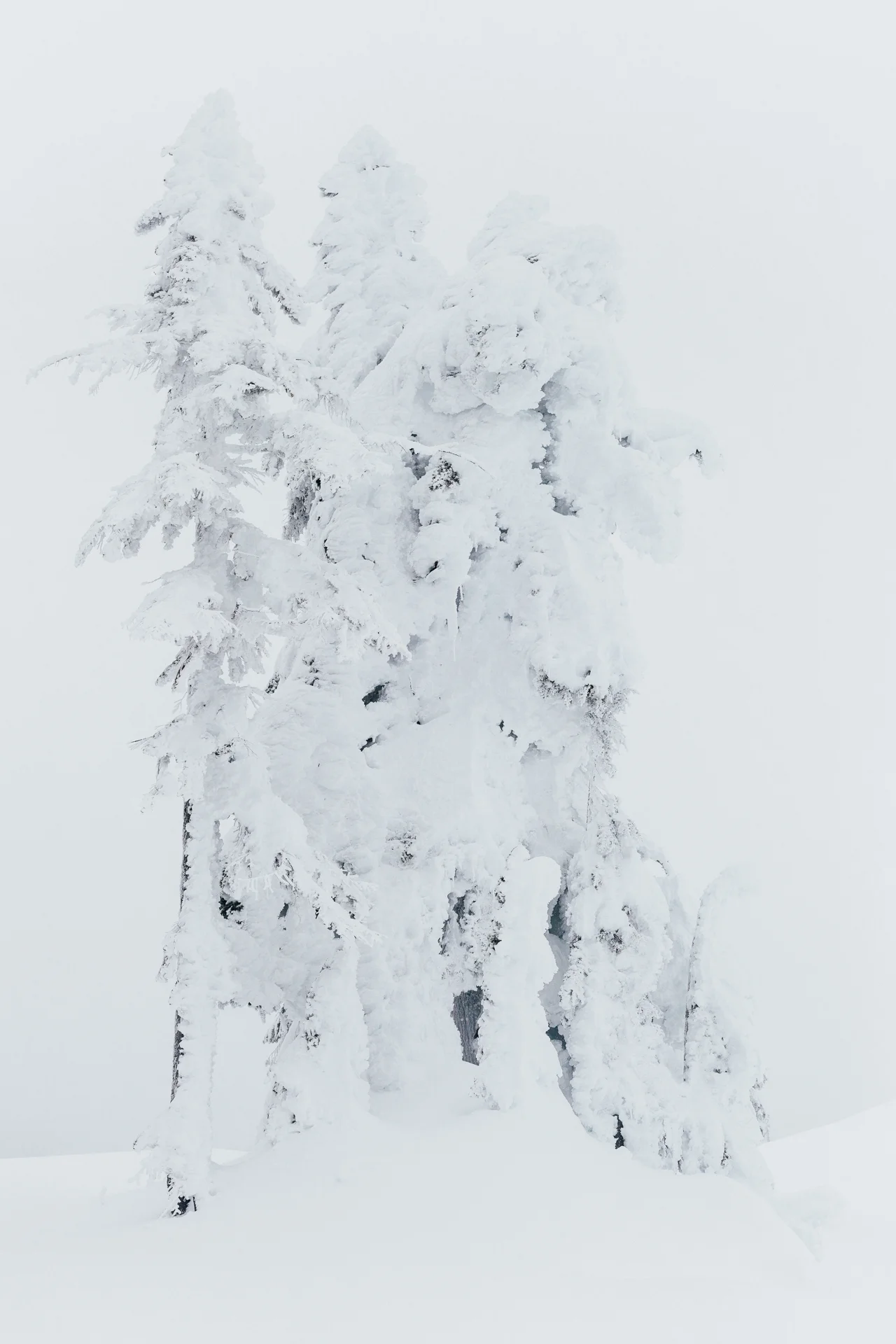 IMG_1964-Pano.jpg