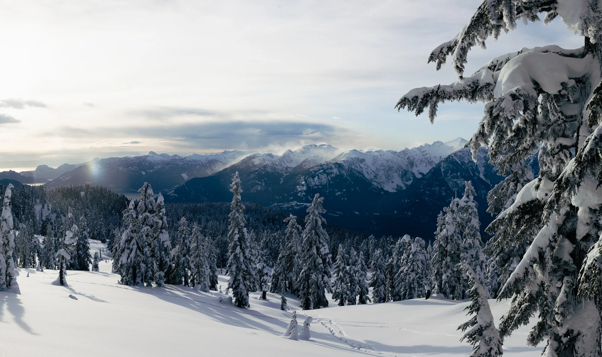 IMG_2142-Pano-2.jpg