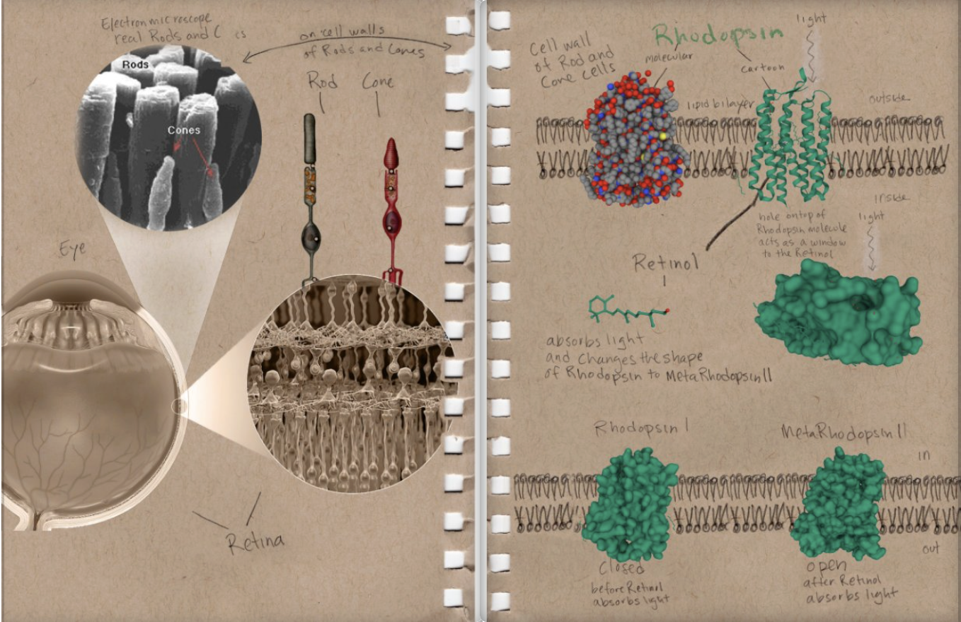 Screenshot 2026-03-21 at 7.24.11 PM.png