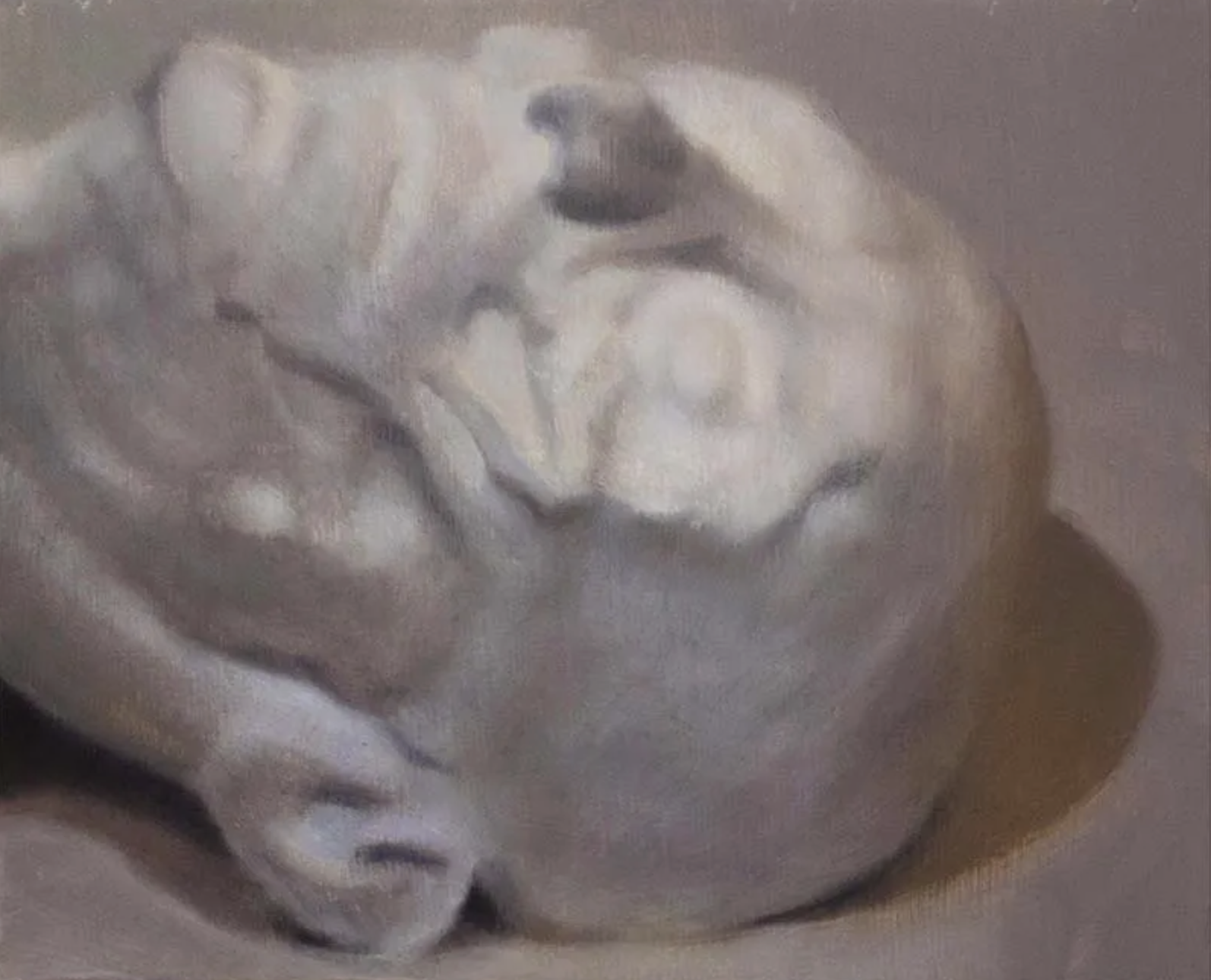 CONTEMPLATION OF THE BODY