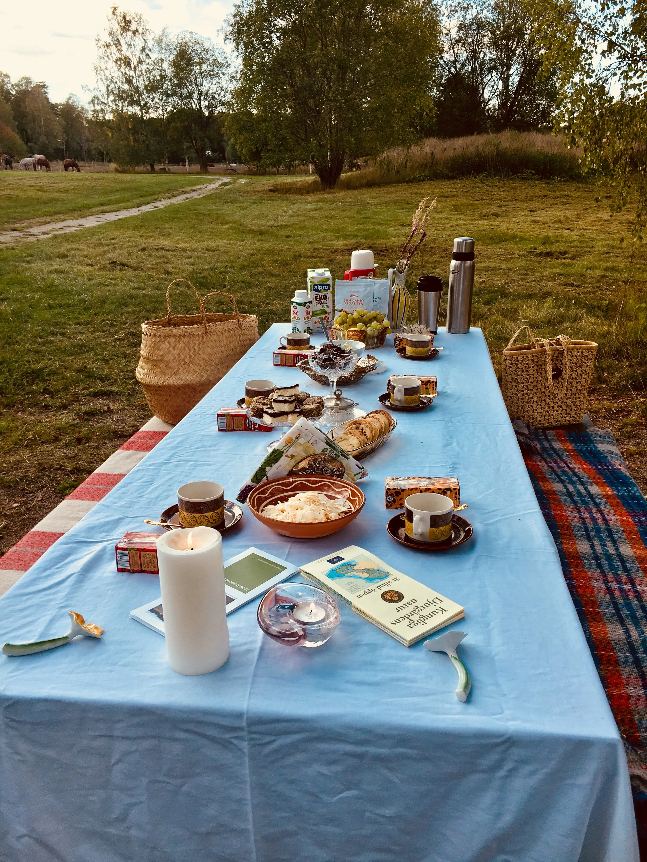 ekofika picknick.jpg