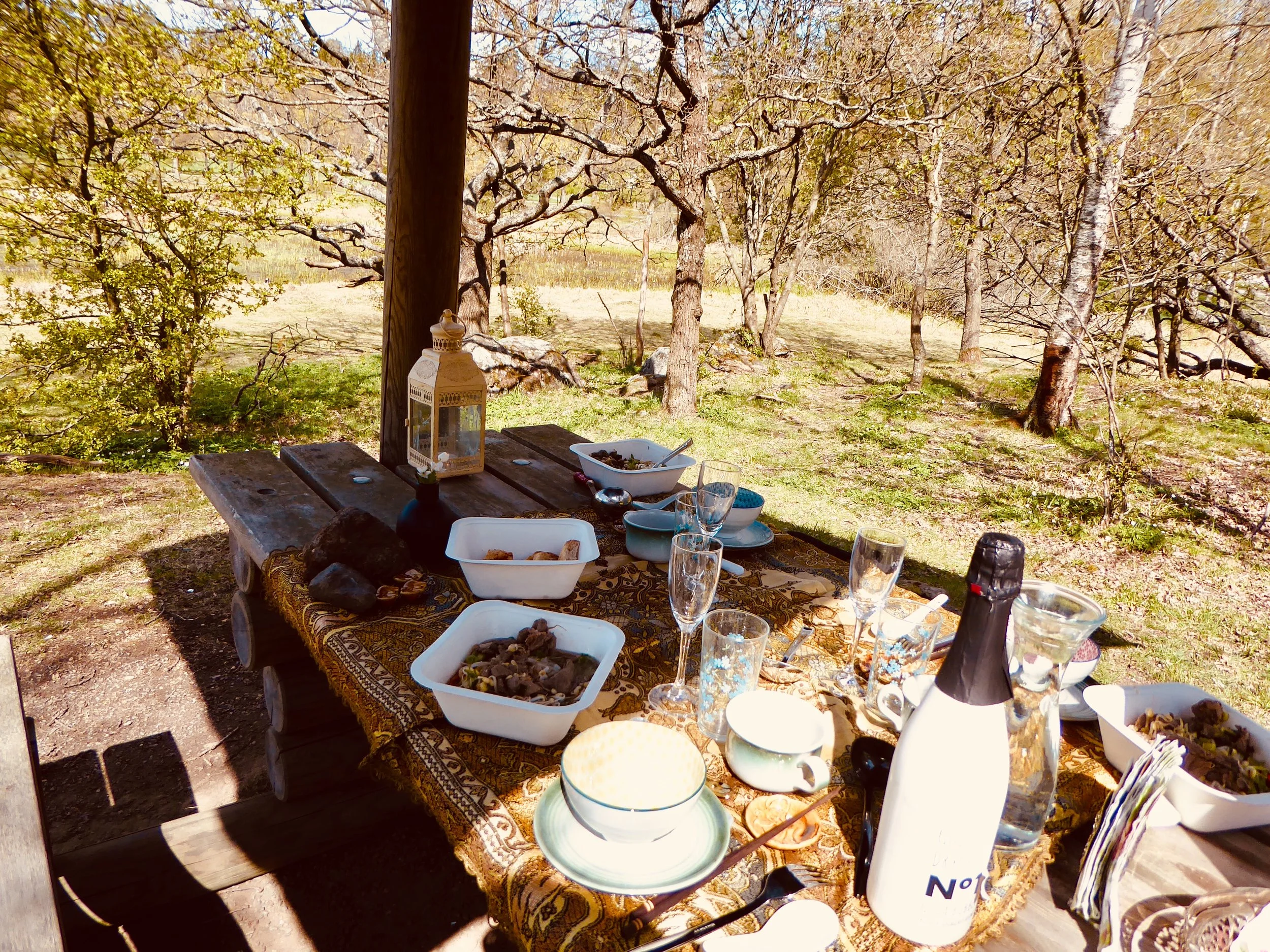 picknick lunch.jpg