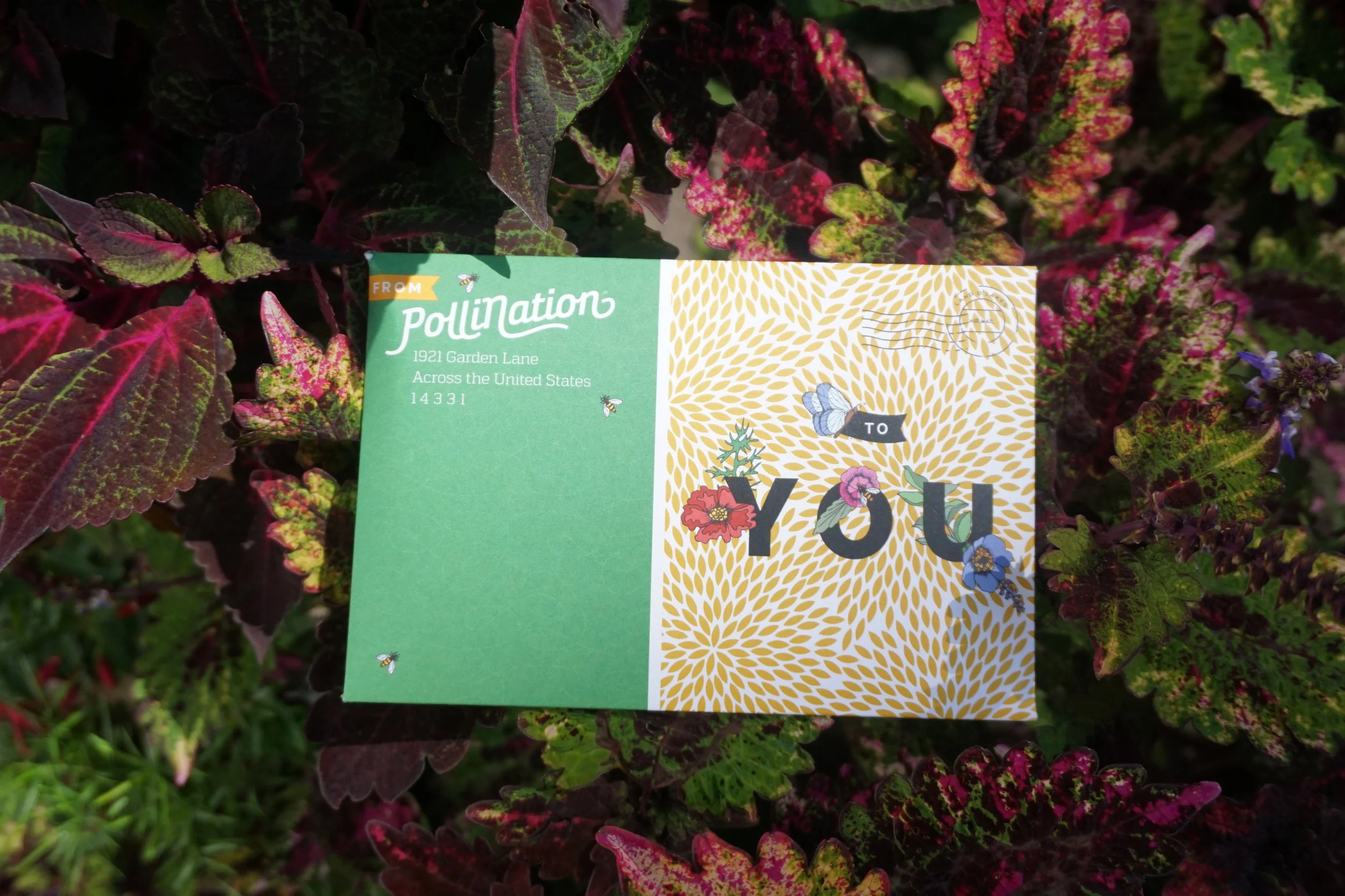 Diecut PolliNation envelope
