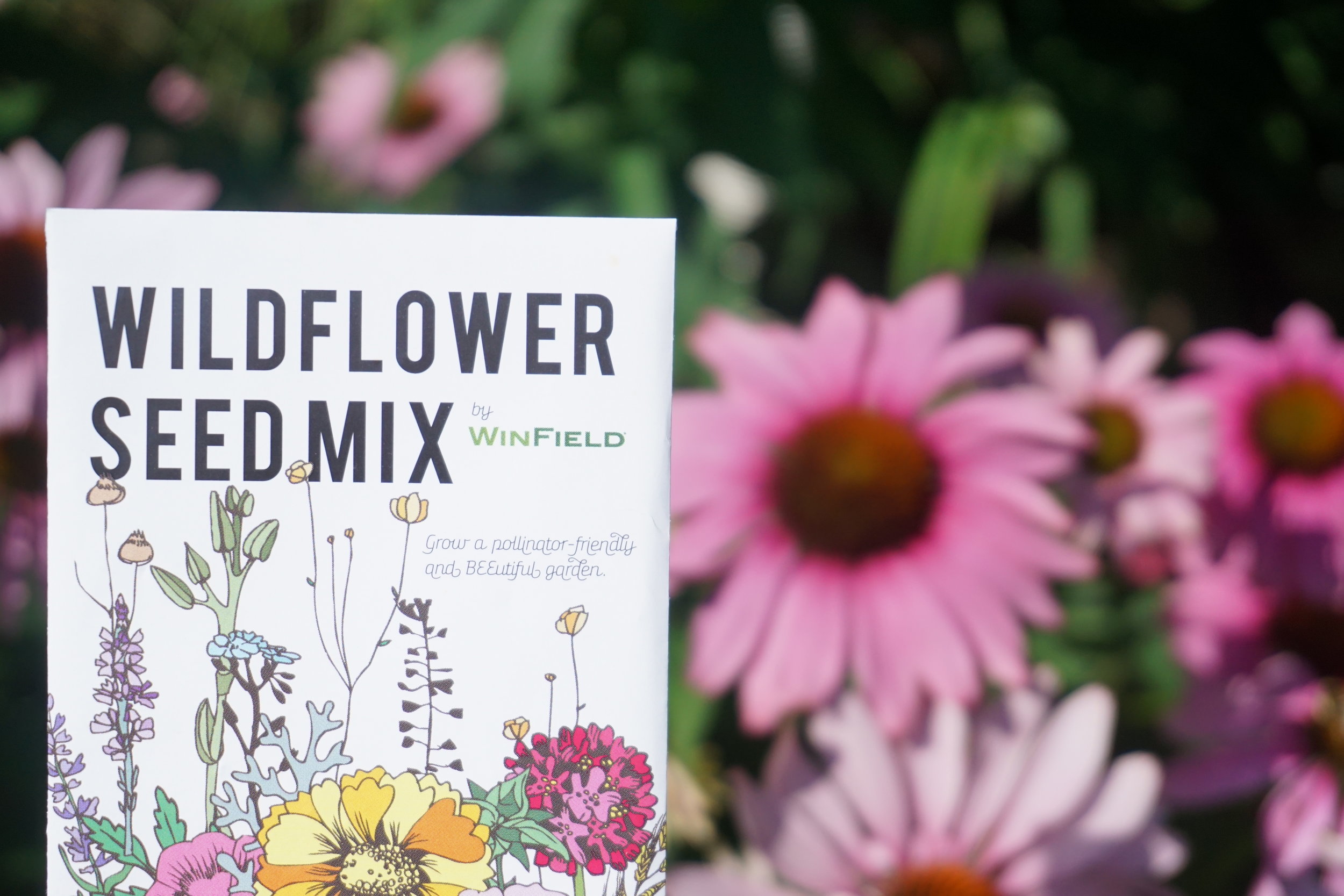Custom designed wildflower seed packets 