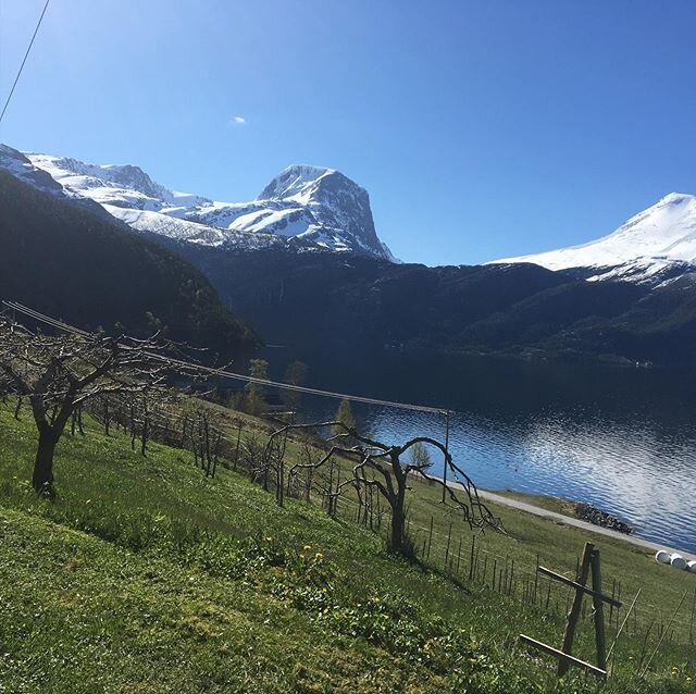 Fjordyoga ved Nordfjorden, Yogashala