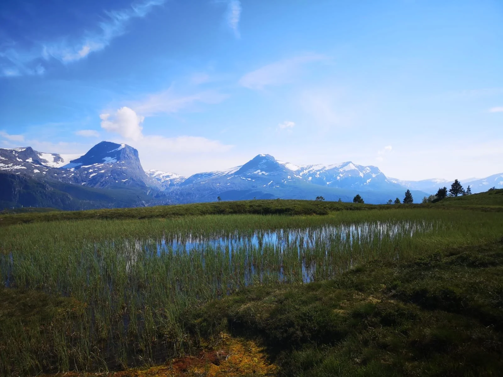 fjell.JPG