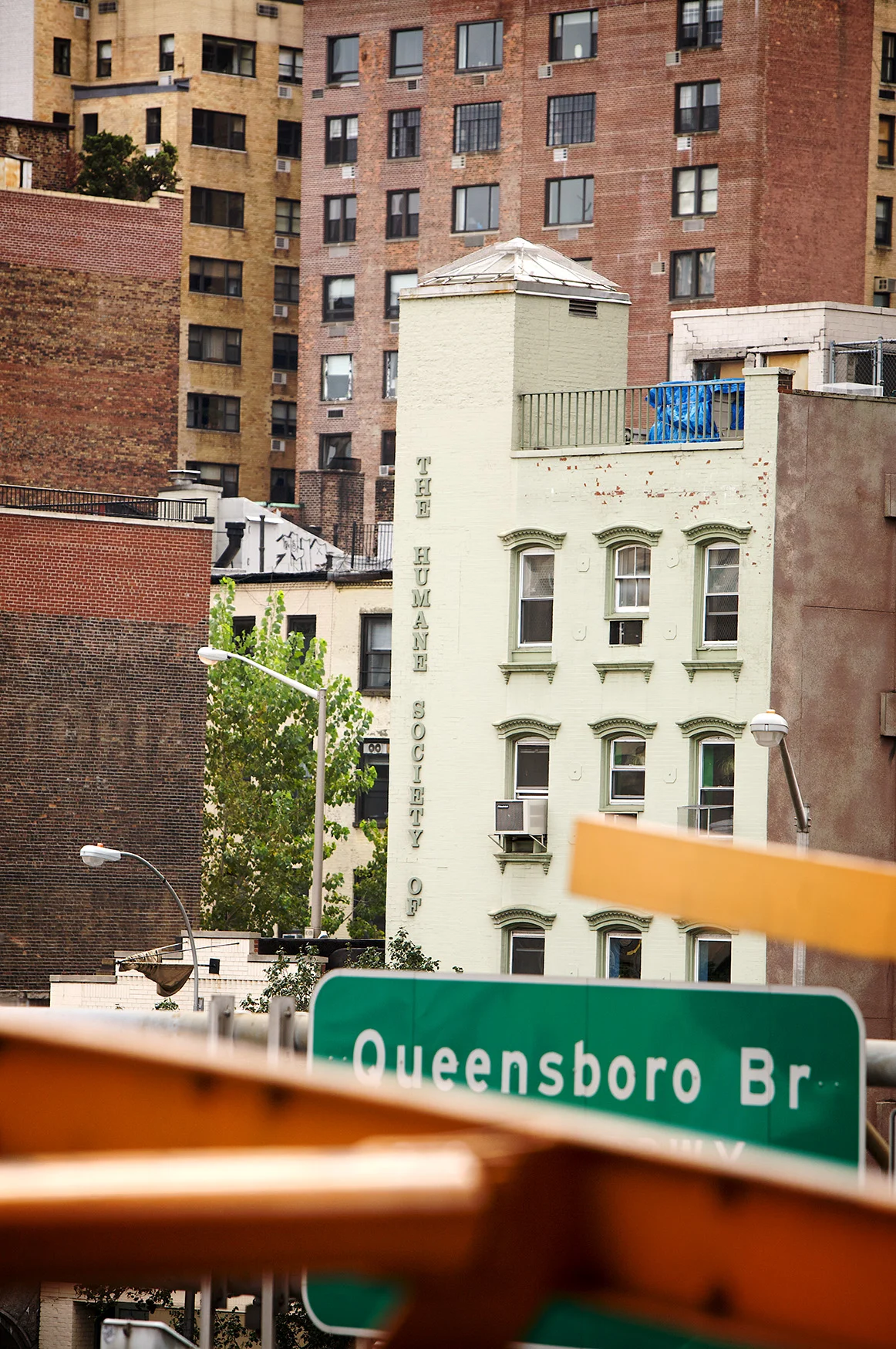 NY Street 1-web.jpg