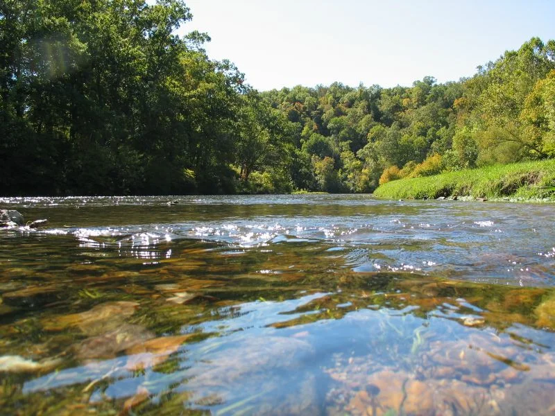 Spring River 1.jpg