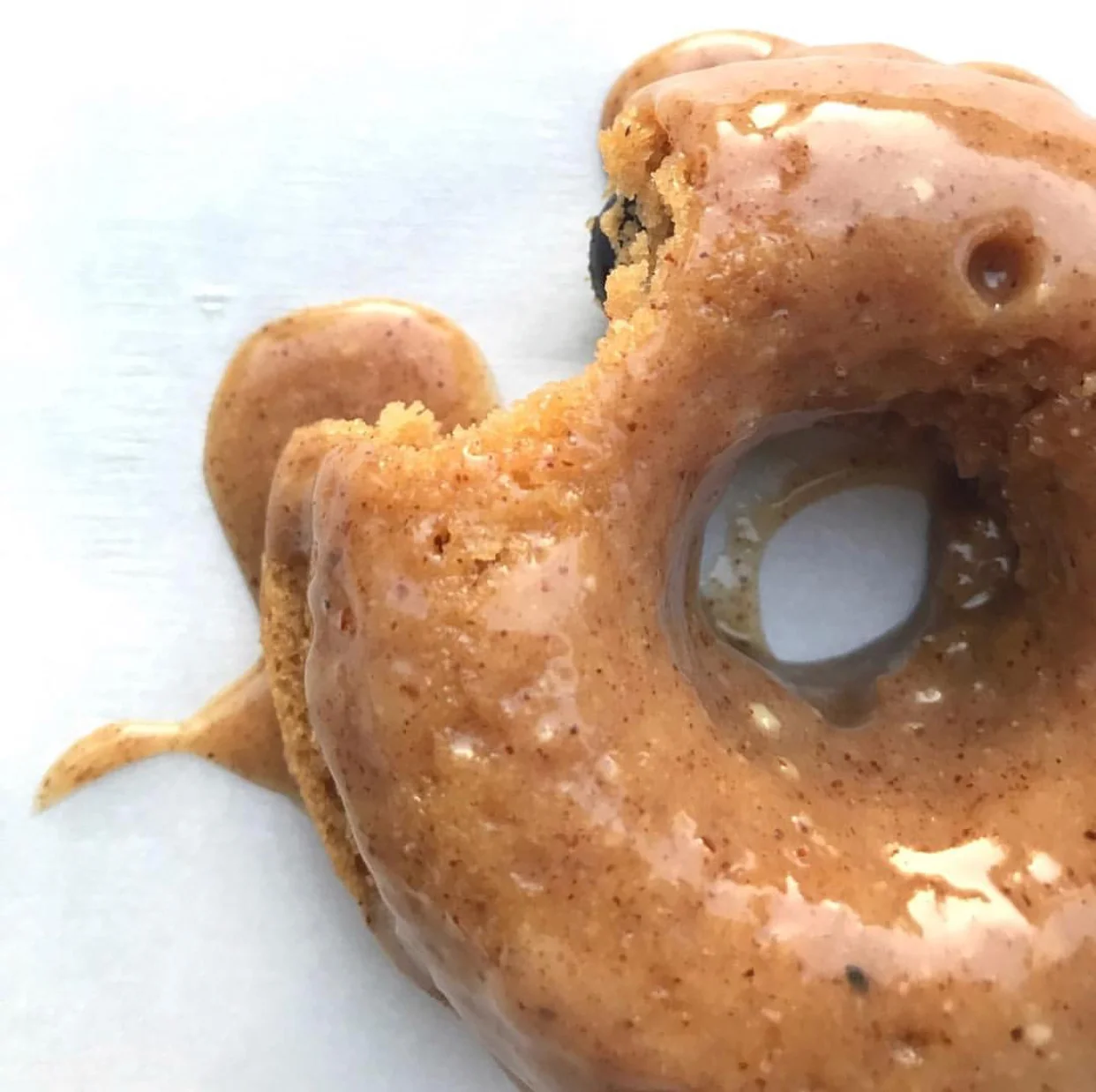 Vanilla Blueberry Donuts