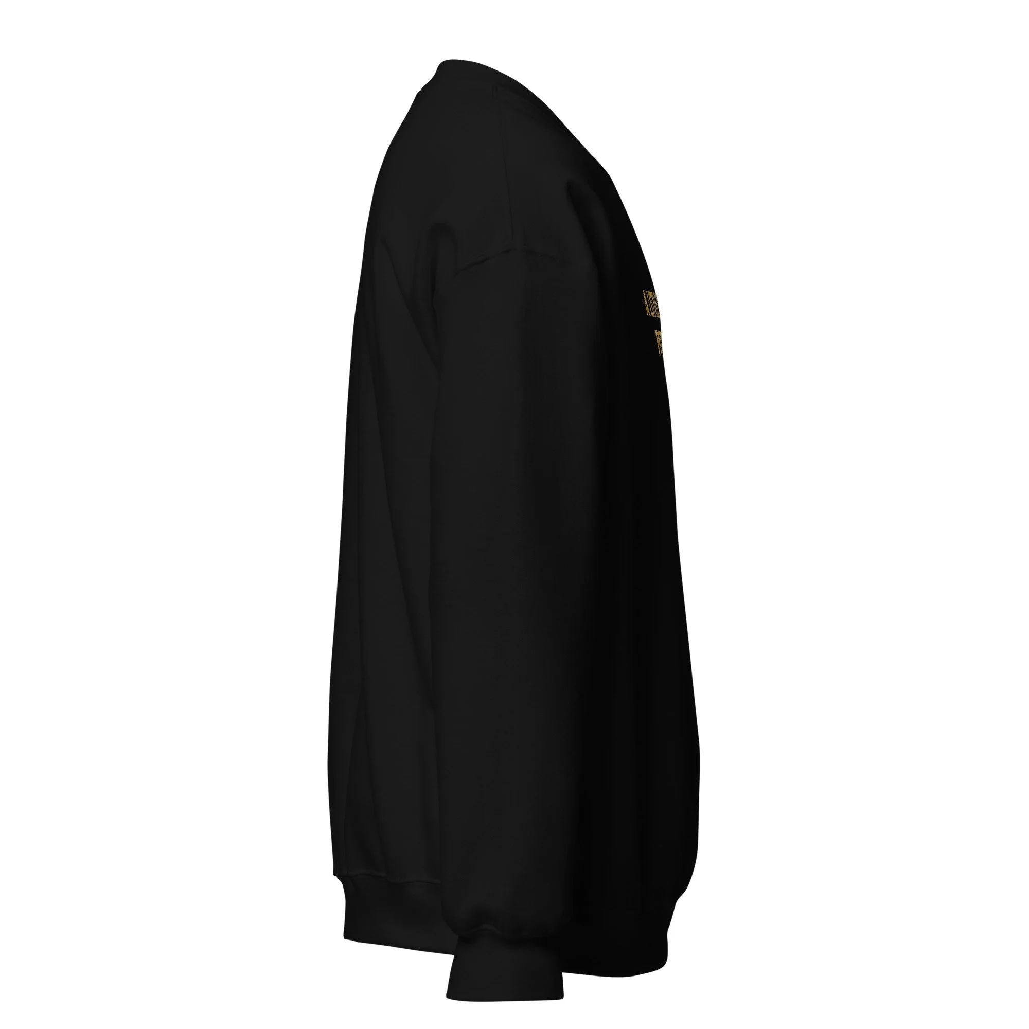 unisex-crew-neck-sweatshirt-black-right-68b568bb32184.jpg