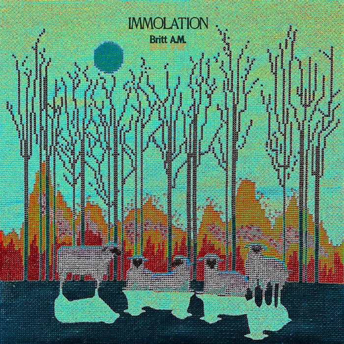 Immolation Front Cover.jpg