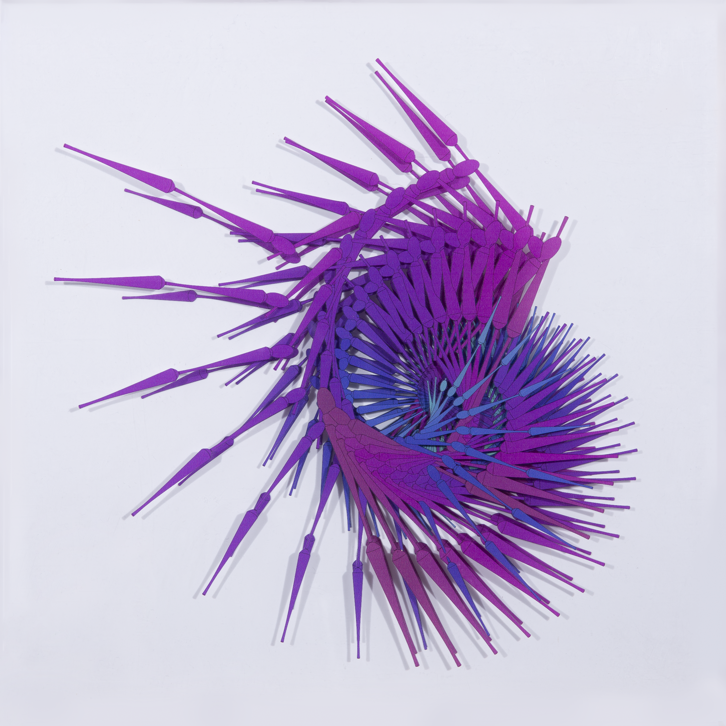 purple 3, 16” x 16” multi layered print on acrylic £1050, ltd edition of 20