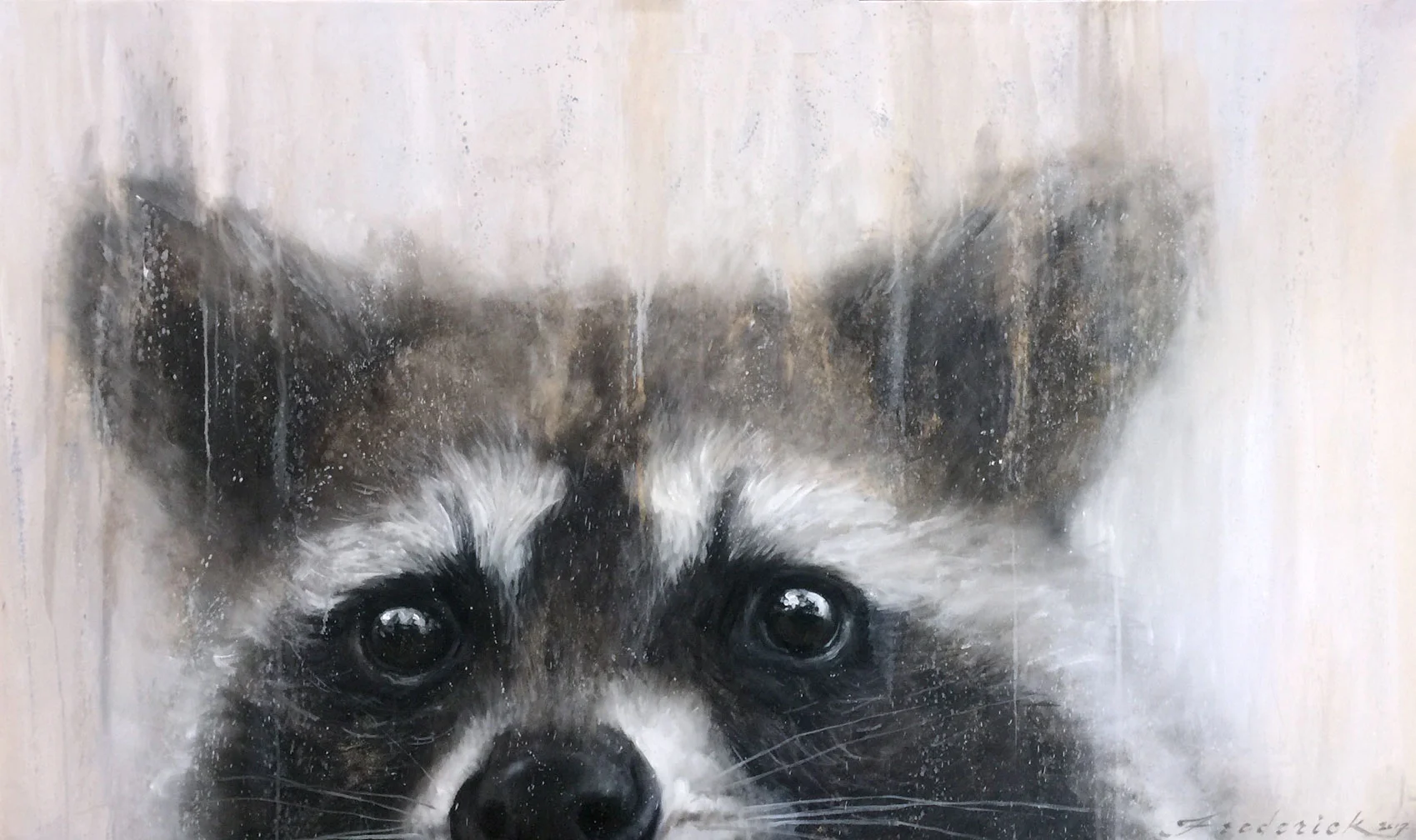 Raccoon