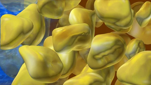 Water permeation of sand particles