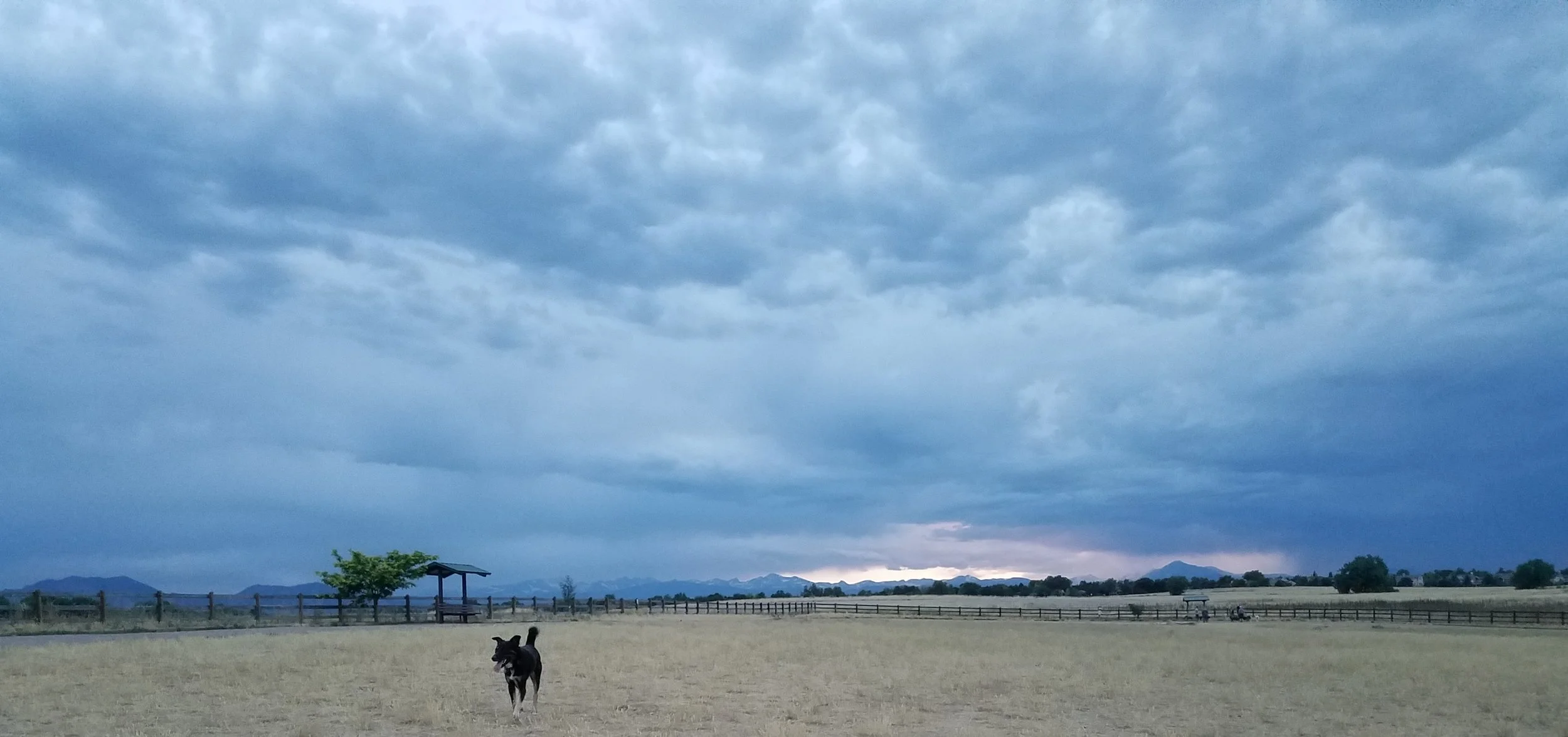 20170710_203354.jpg