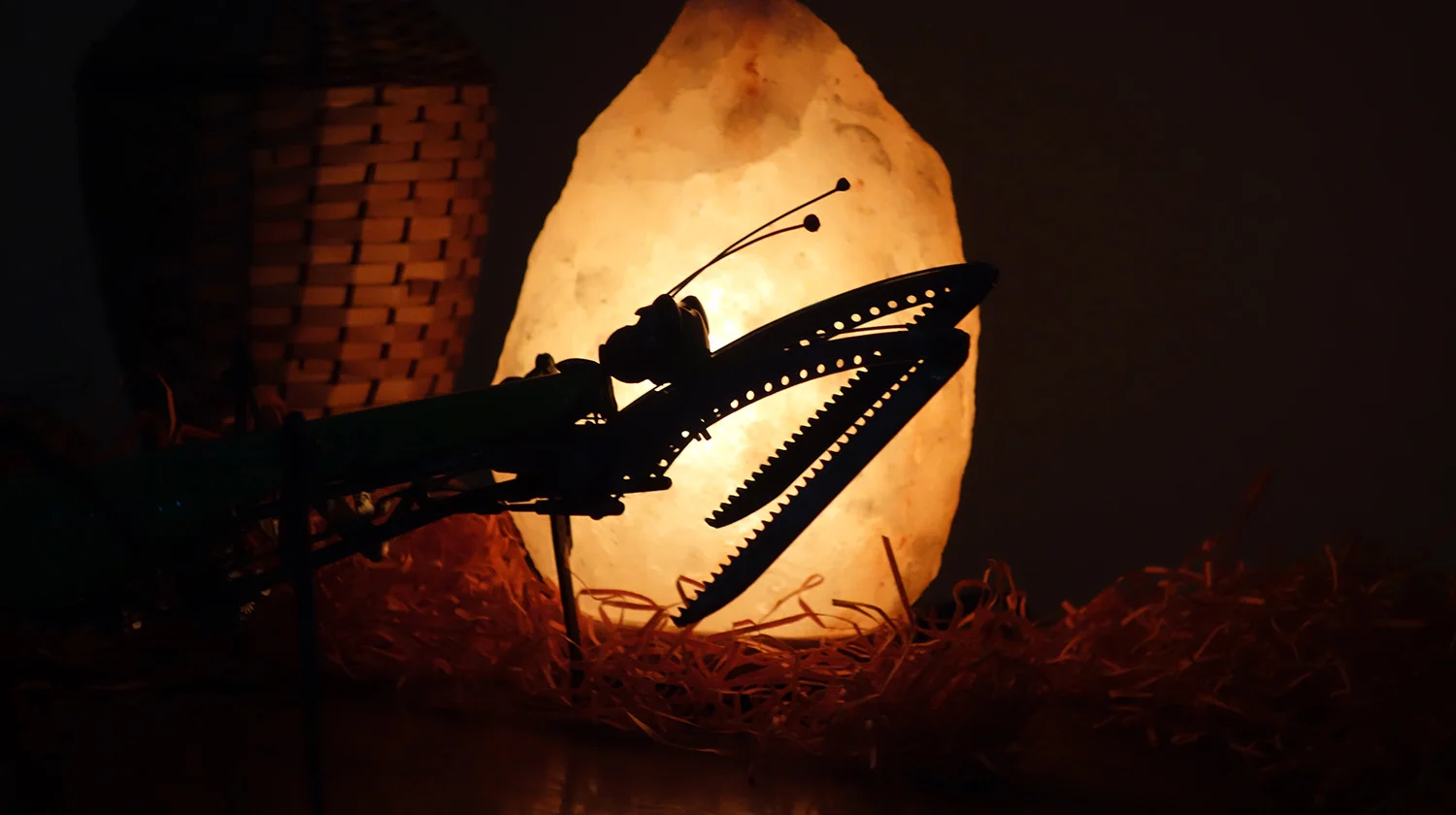 Prayingmantis-silhouette.jpg