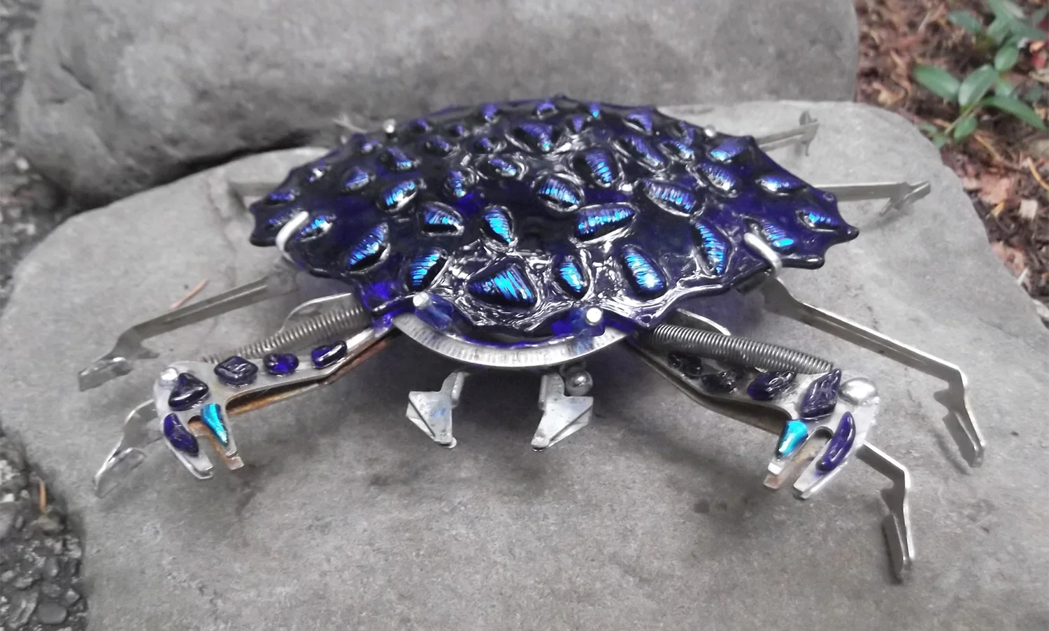 BlueCrab.jpg