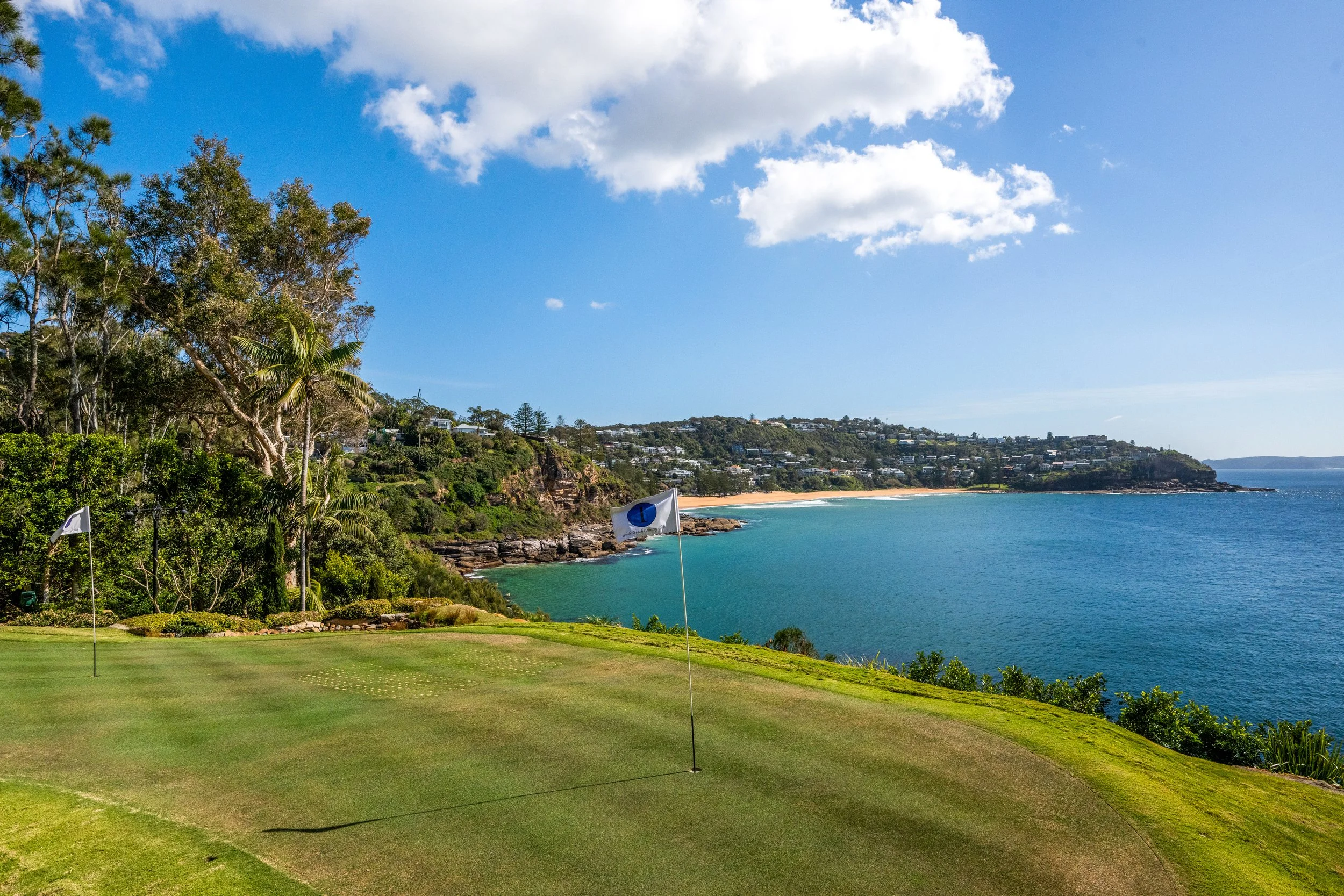 143_whale_beach_049.jpg